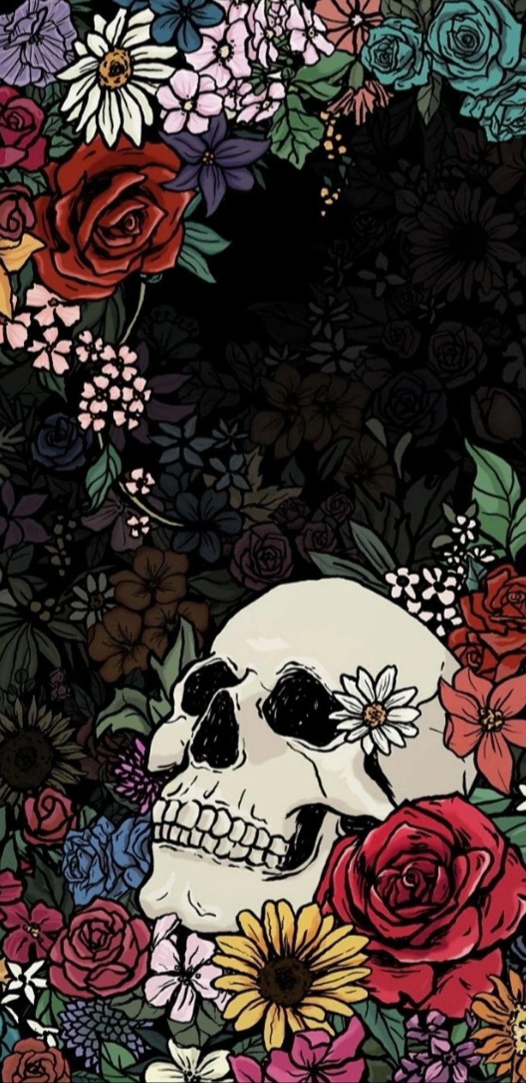 1080x2220 Skull Art iPhone Wallpapers Top Free Skull Art iPhone Backgrounds