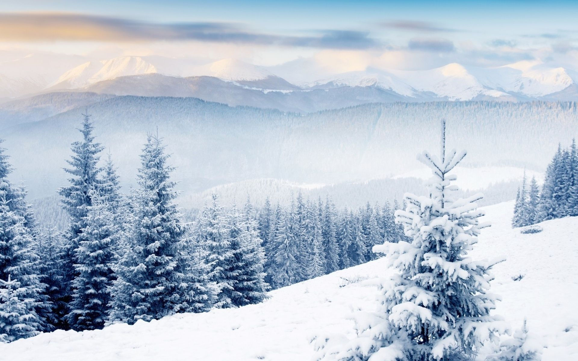 1920x1200 winter scenes | Scene background, Winter scenery, Winter wallpaper hd