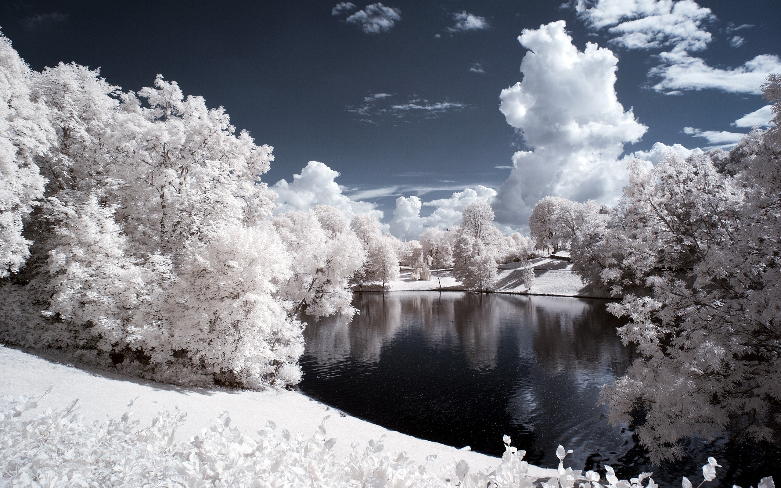 2560x1600 Winter Pond Wallpapers