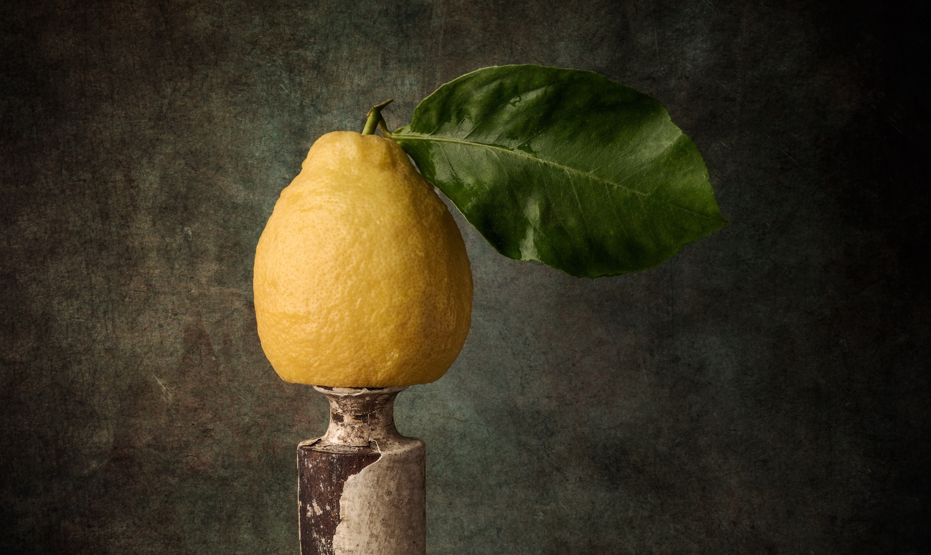 1920x1146 Wallpaper : still life, lemons, leaves WallpaperManiac 1819717 HD Wallpapers