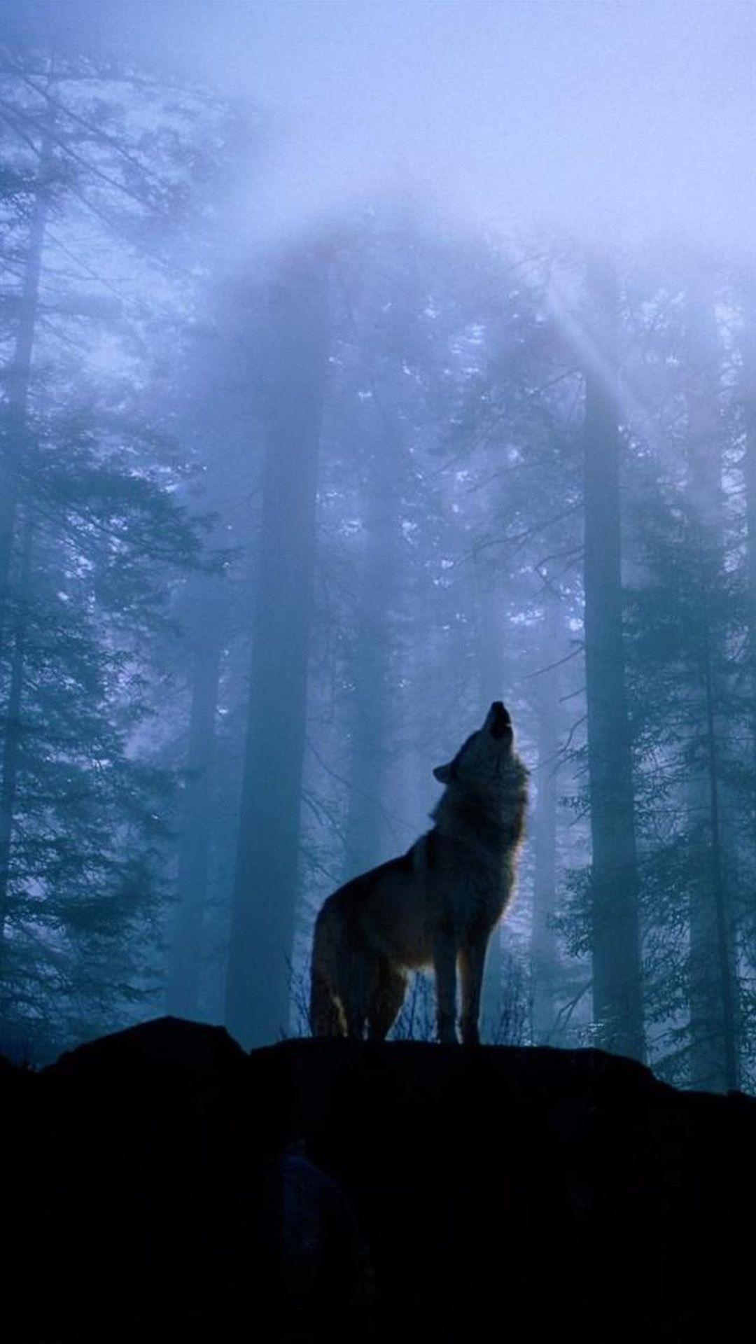 1080x1920 Twilight Wolf Wallpapers