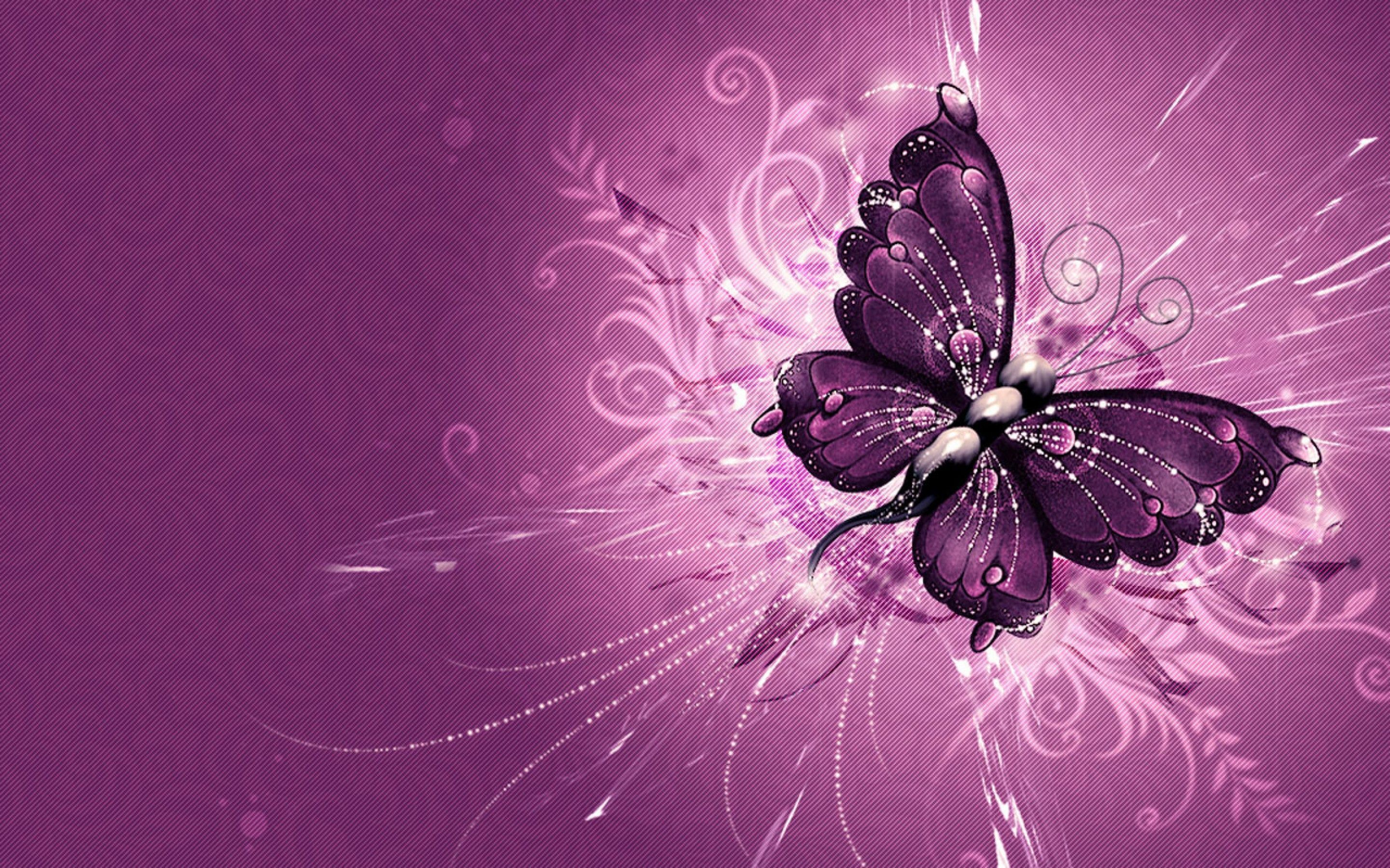 2880x1800 Black and Purple Butterfly Wallpapers Top Free Black and Purple Butterfly Backgrounds