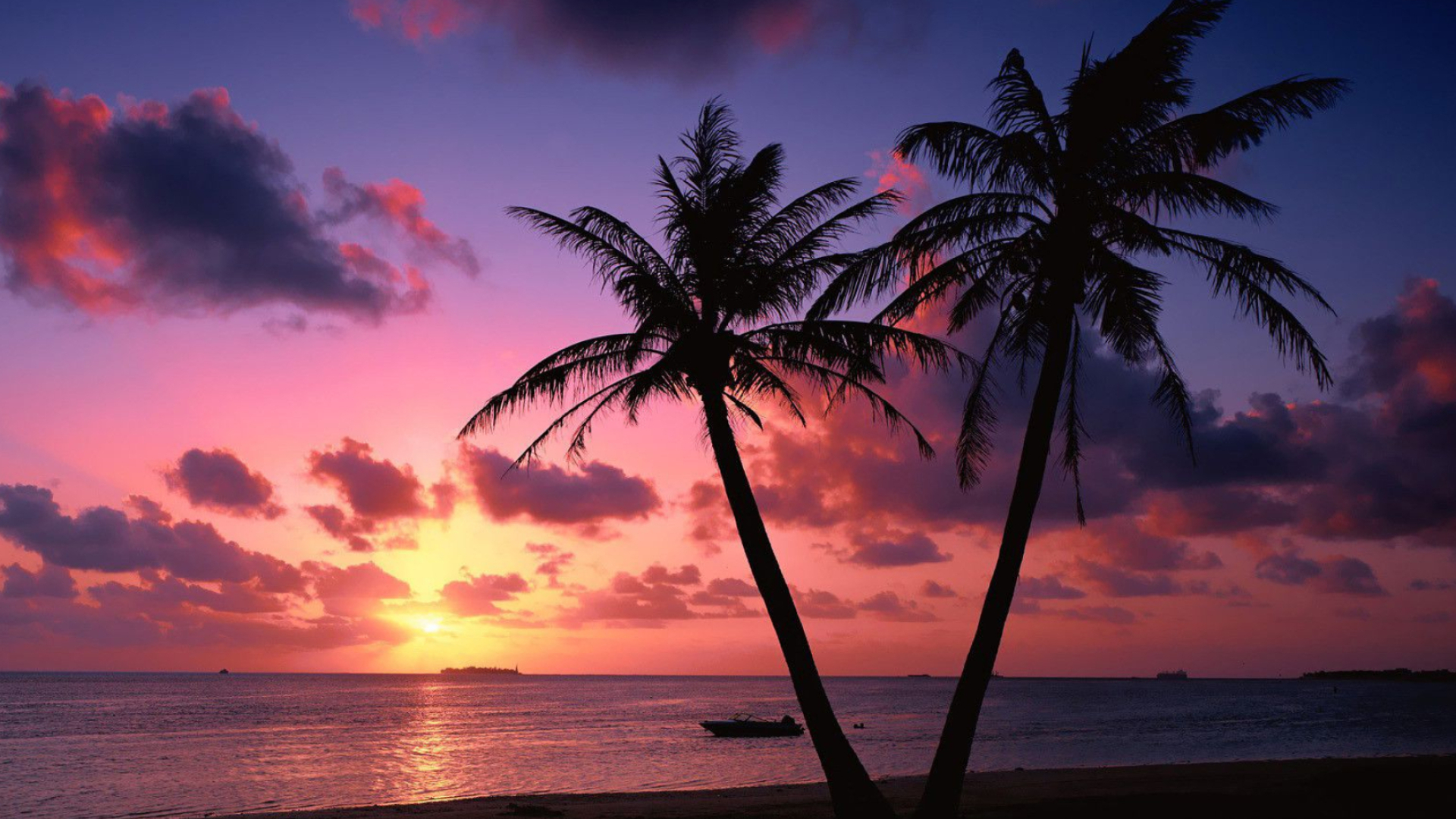 1920x1080 Palm Tree Sunset Wallpapers