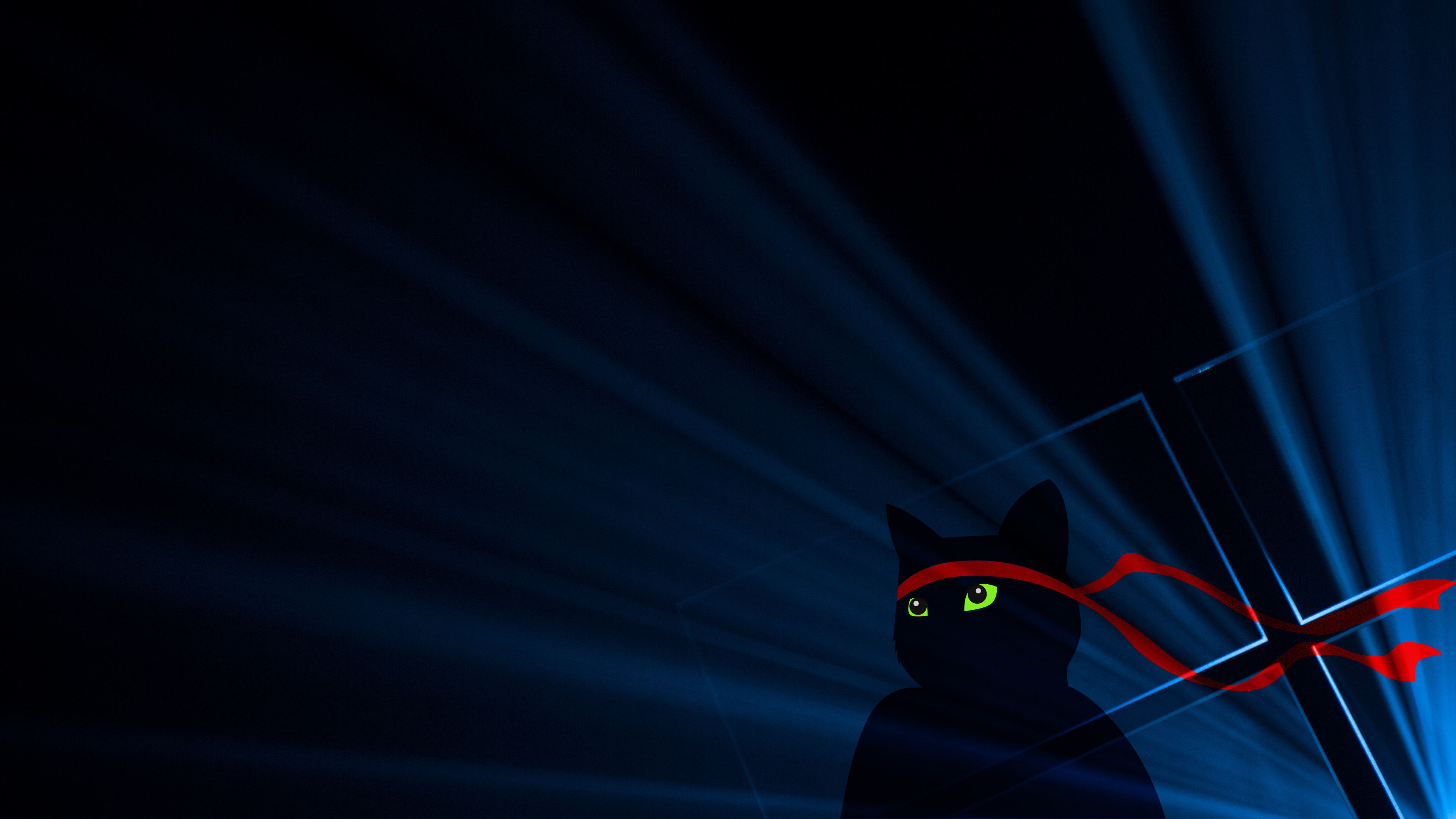 3840x2160 Ninja Cat 4k, HD Artist, 4k Wallpapers, Images, Backgrounds, Photos and Pictures