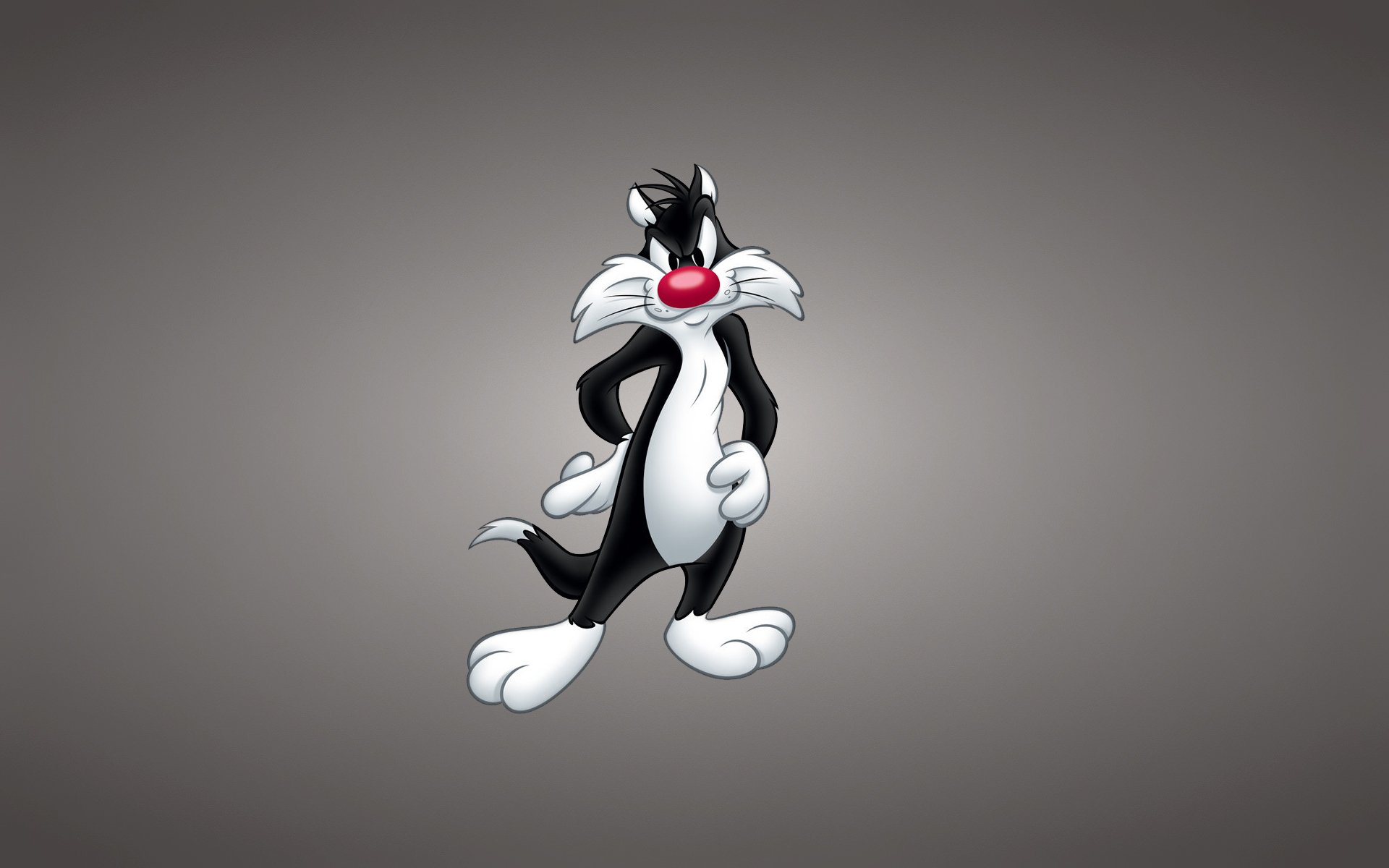 1920x1200 Sylvester the Cat