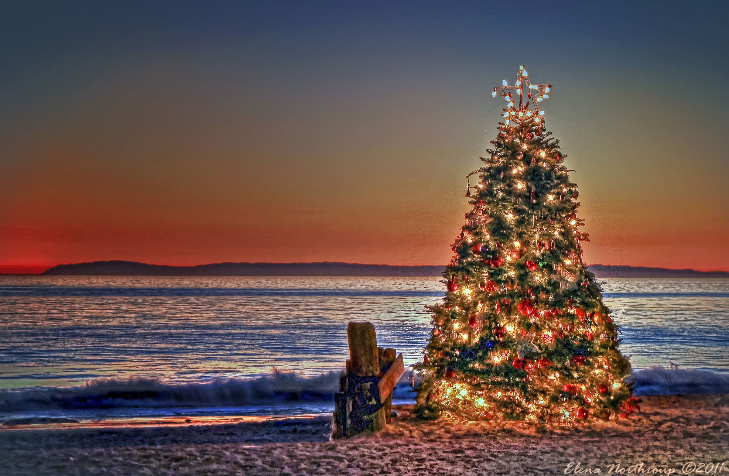 2400x1567 Good Christmas Tree At The Beach Part 8: Christmas At The Beach | Beach christmas, Florida christmas, Coastal christmas