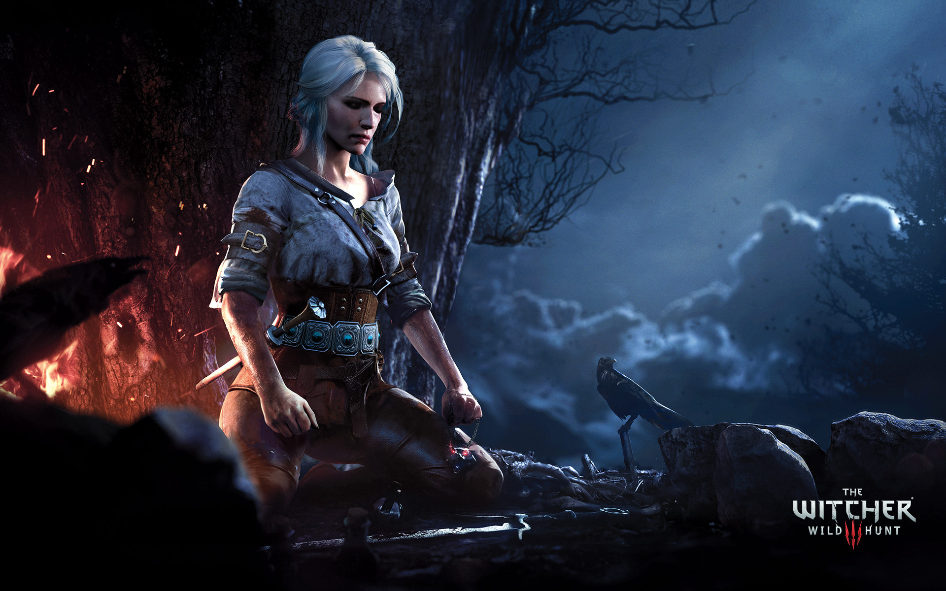 1920x1200 180+ Ciri (The Witcher) HD Wallpapers and Backgrounds