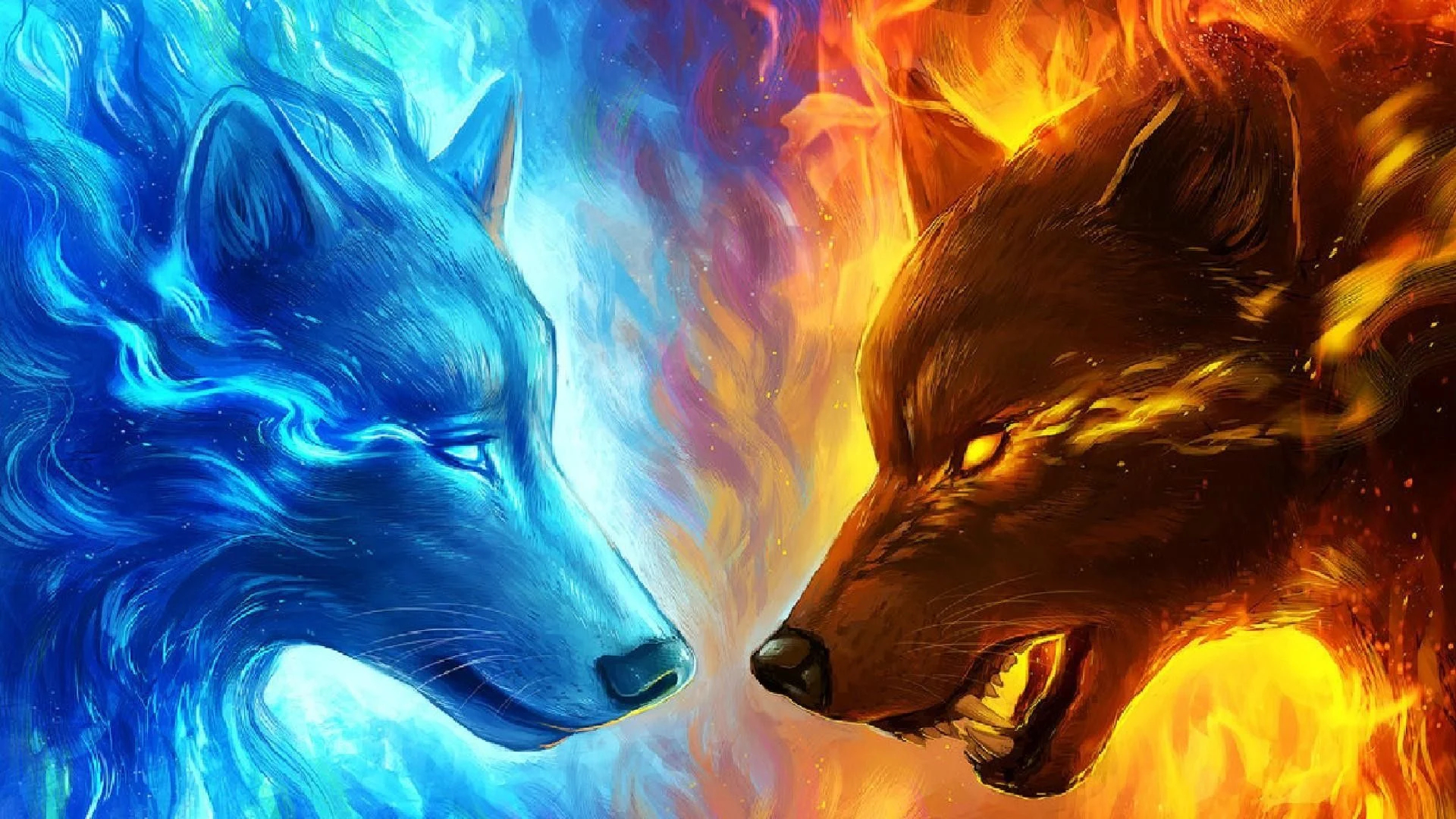 1920x1080 Cool Fire Wolf Wallpapers Top Free Cool Fire Wolf Backgrounds