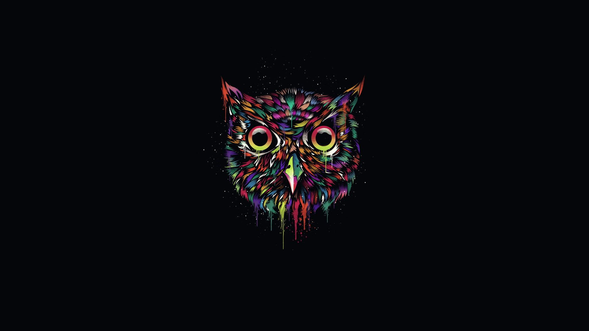 1920x1080 multicolored owl illustration the dark background #owl #paint #minimalism # owl #1080P #wallpaper #hdwall&acirc;&#128;&brvbar; | Owl wallpaper, Black background wallpaper, Colorful owls