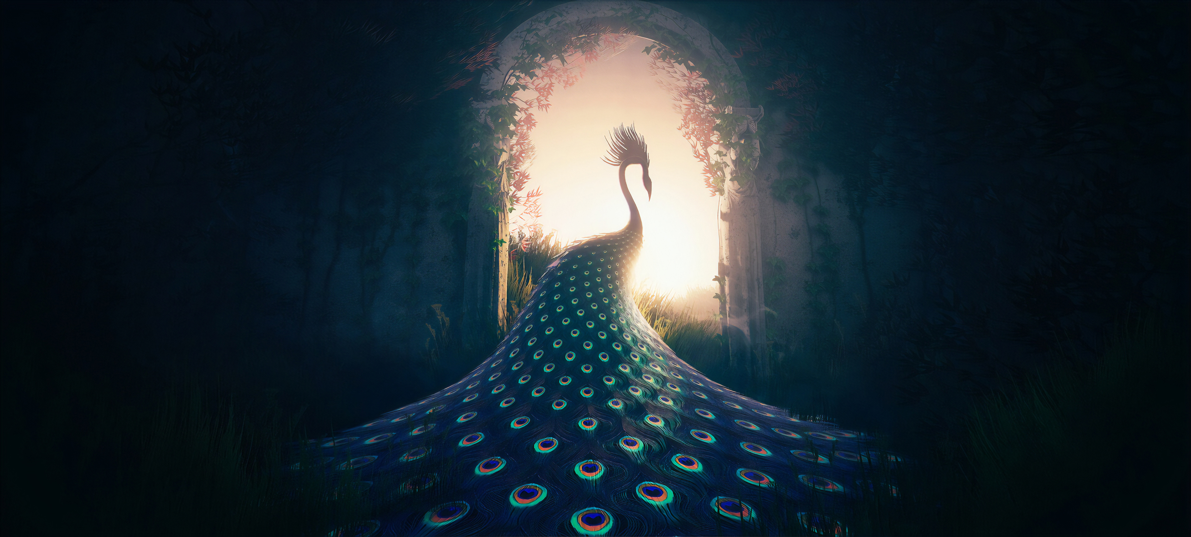 3840x1732 Peacock Journey, HD Artist, 4k Wallpapers, Images, Backgrounds, Photos and Pictures