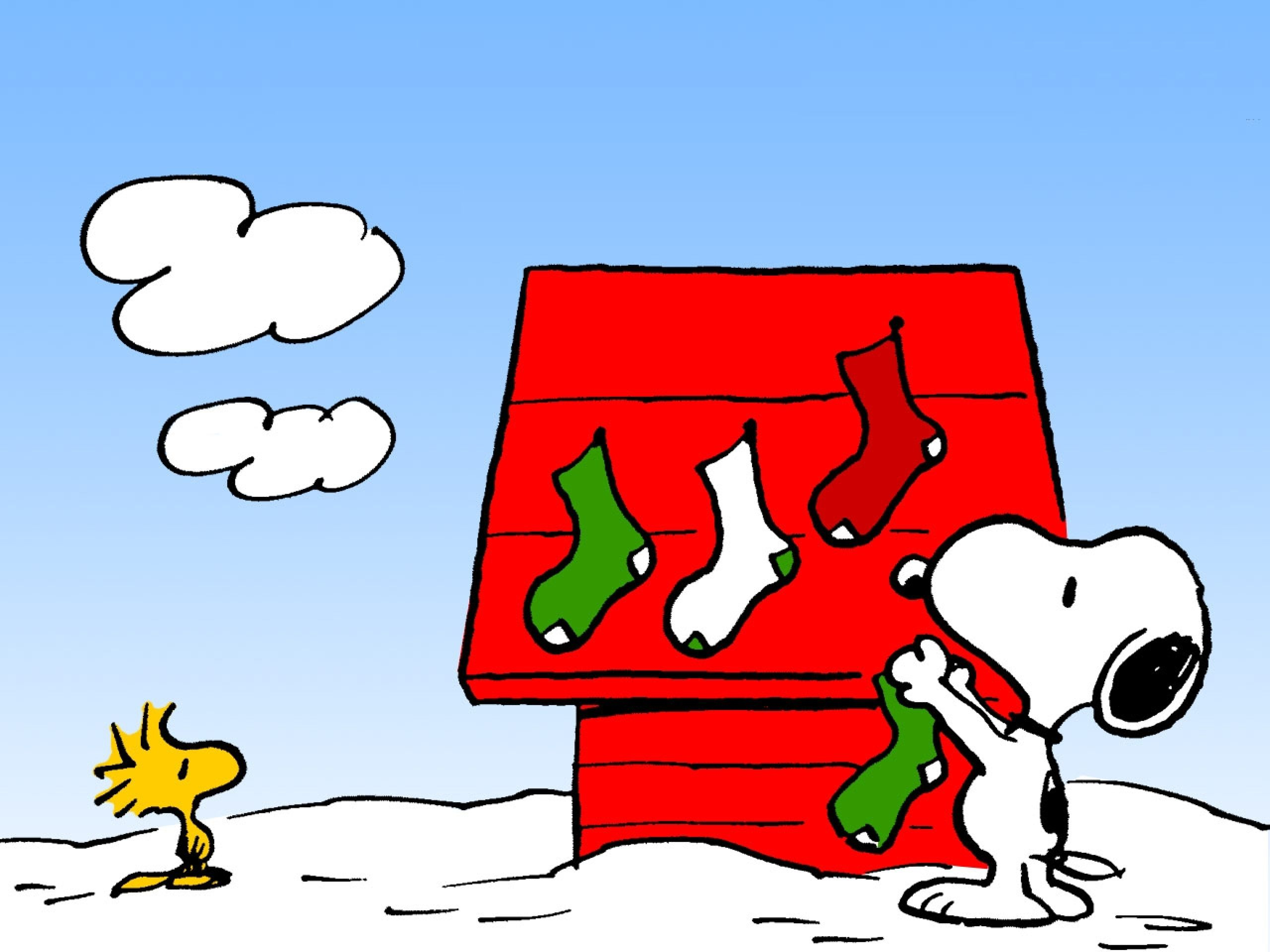2560x1920 50+ Snoopy HD Wallpapers and Backgrounds