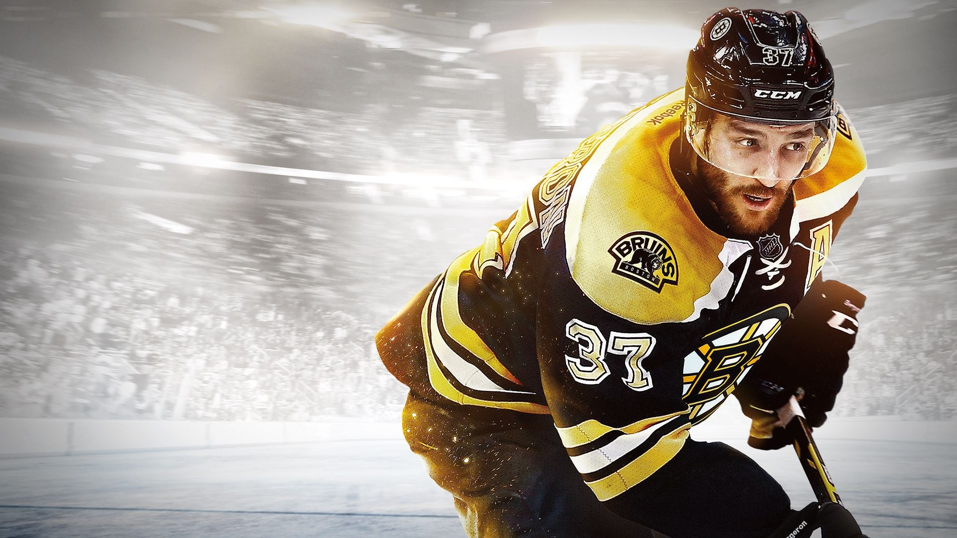 1920x1080 20+ Hockey HD Wallpapers and Backgrounds