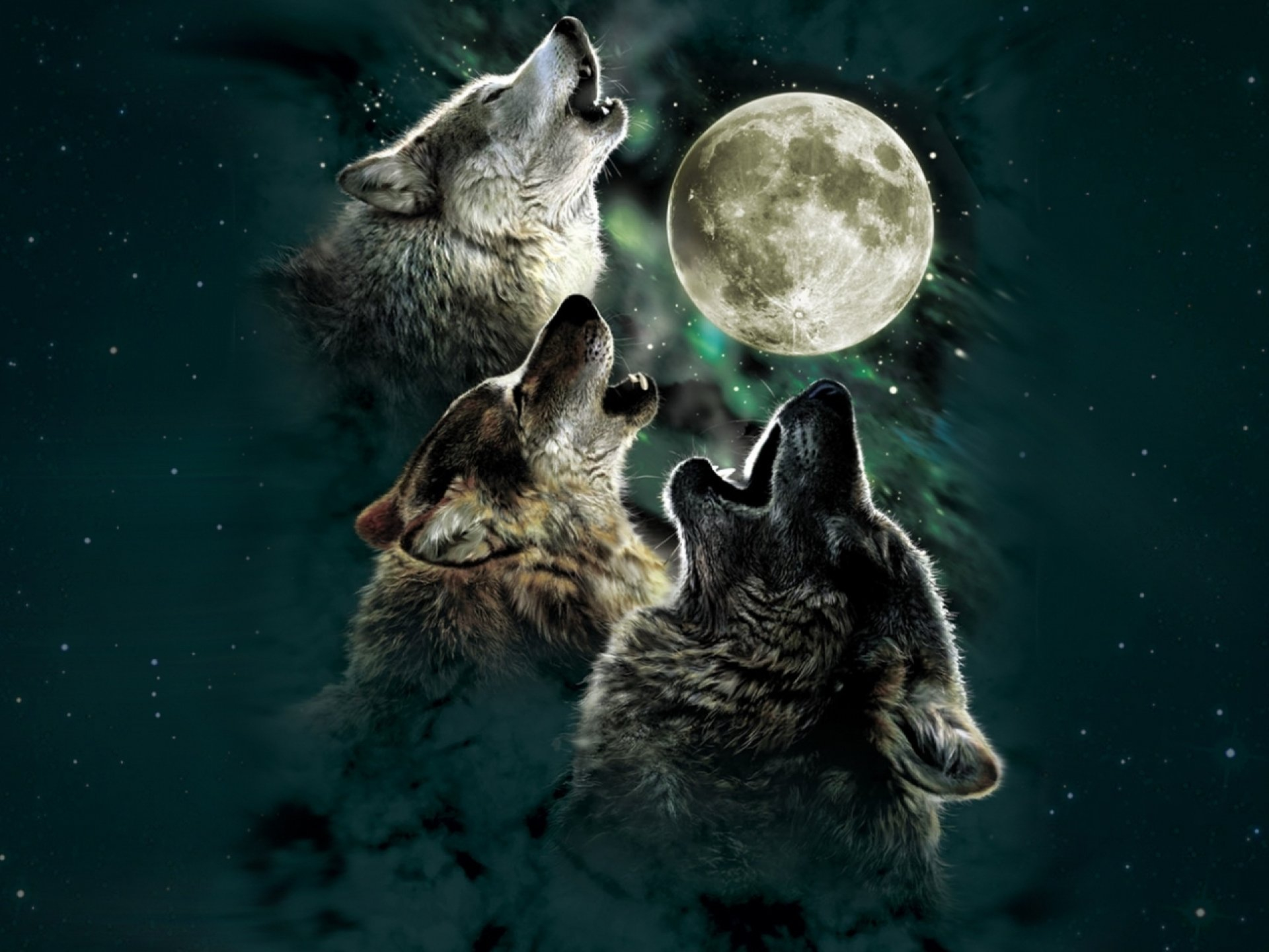1920x1440 Wallpaper : px, artwork, carnivore, Howl, Moon, night, predator, stars, wolf, wolves wallpaperUp 1779717 HD Wallpapers