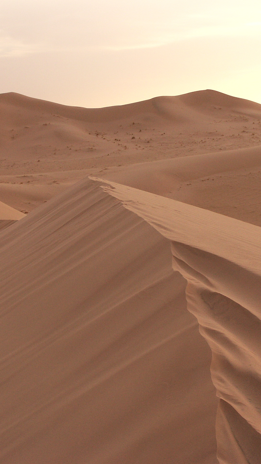 1080x1920 Sand dunes Algeria Mobile Abyss
