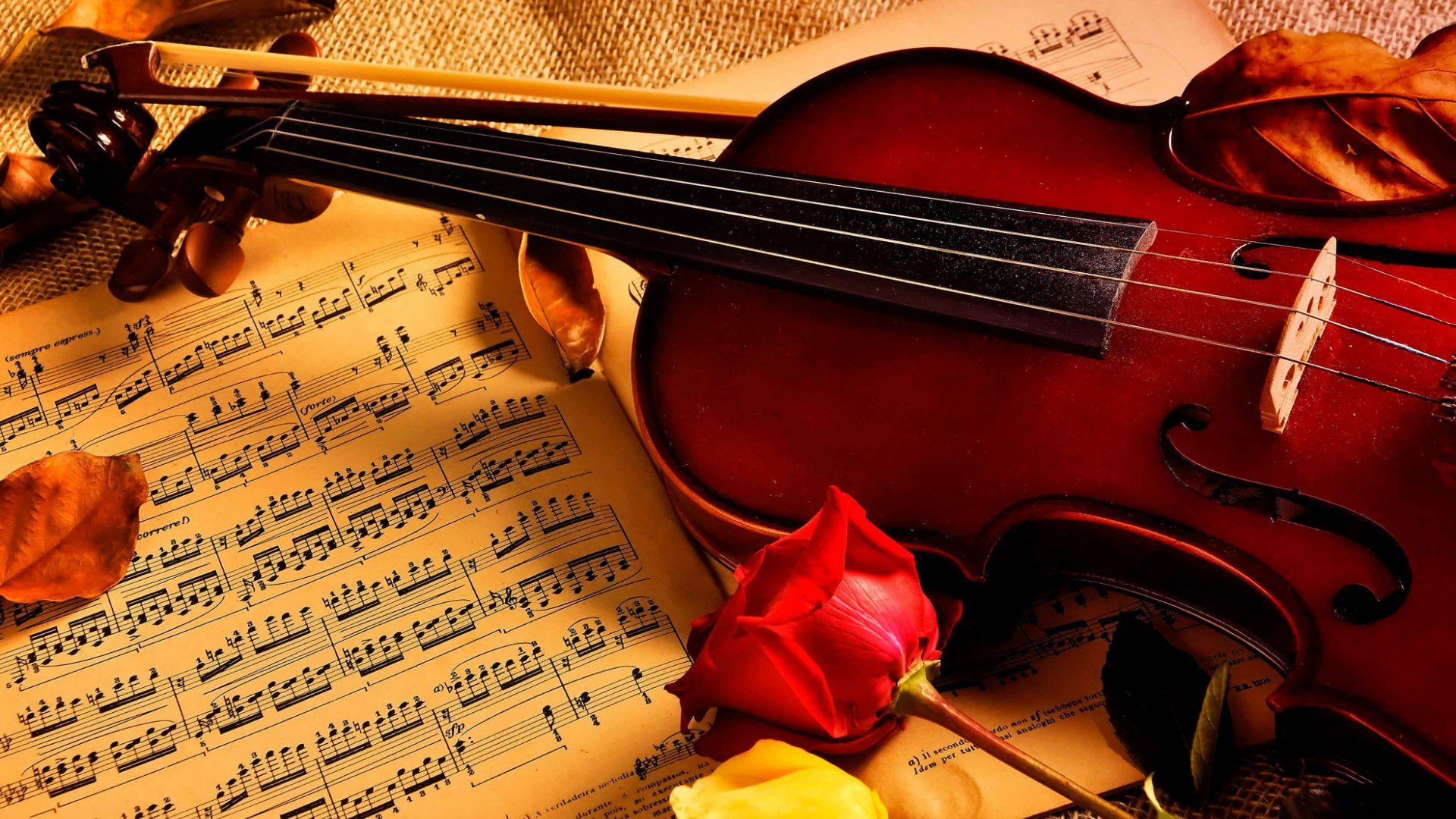 1920x1080 violin, Notes, Rose, Beauty, Music Wallpapers HD / Desktop and Mobile Backgrounds