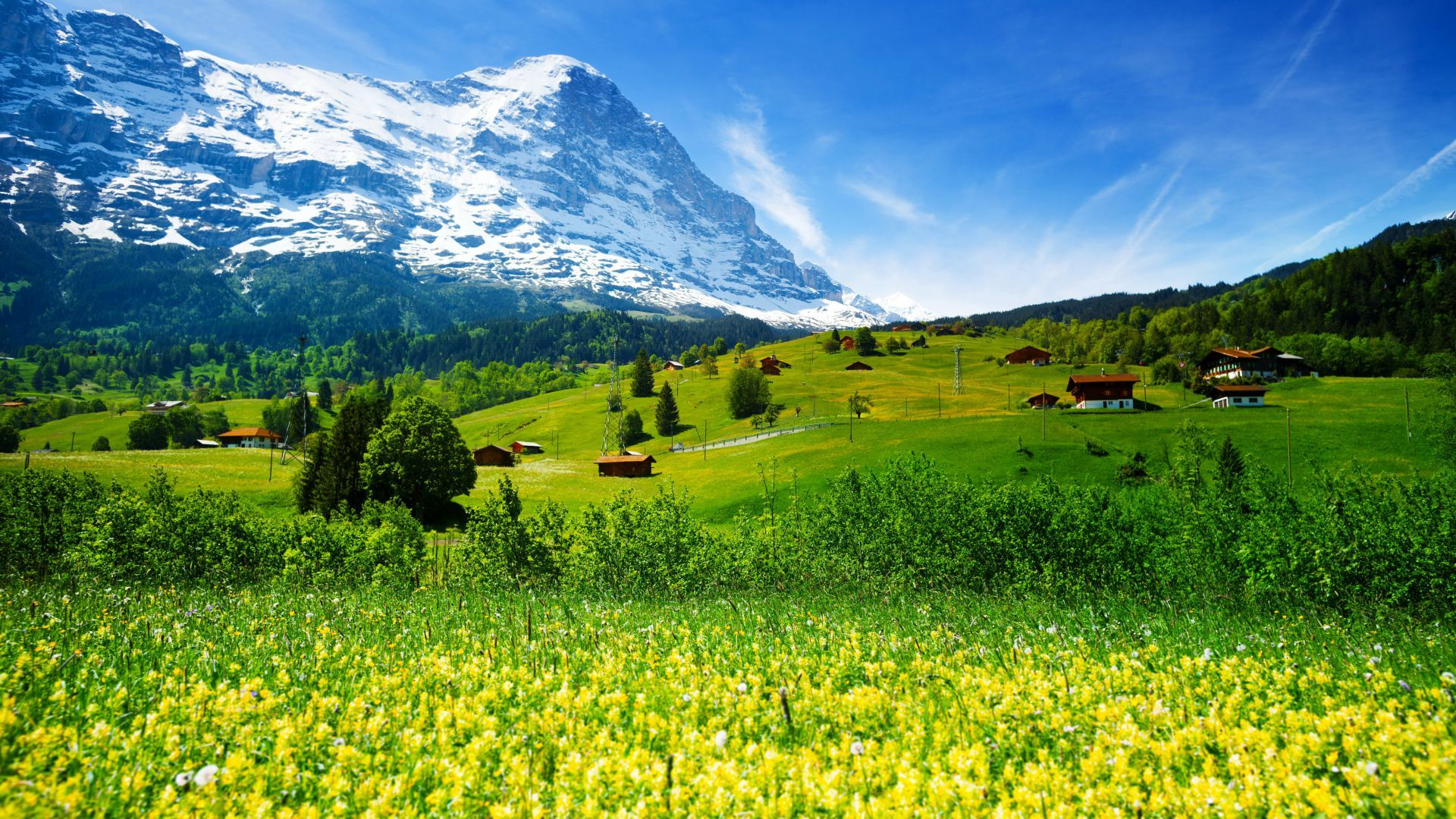 1920x1080 Wallpaper Switzerland, 5k, 4k wallpaper, mountains, meadows, wildflowers, Nature #5296 | Landscape wallpaper, Green landscape, Mountain landscape