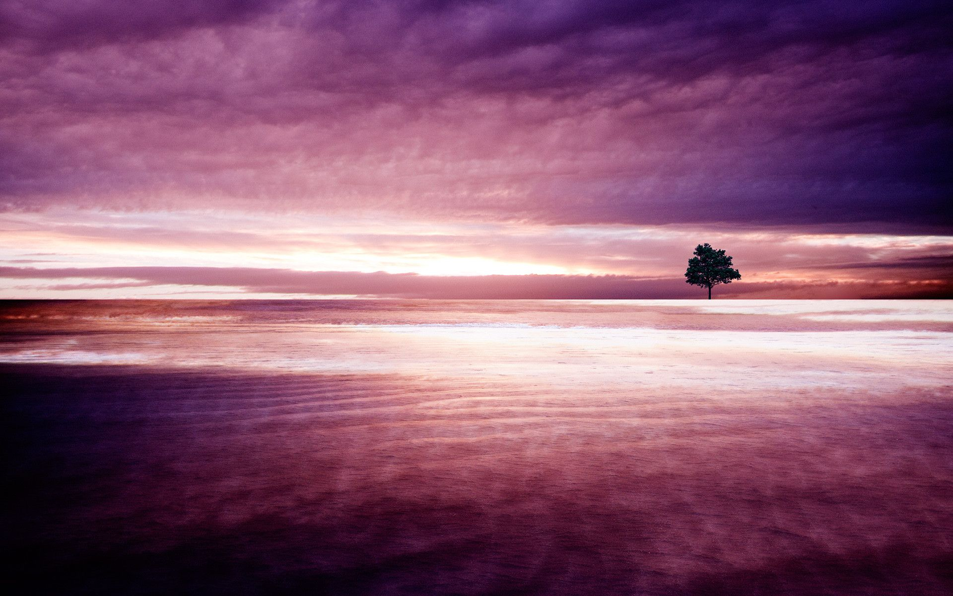 1920x1200 Purple Nature Wallpapers Top Free Purple Nature Backgrounds