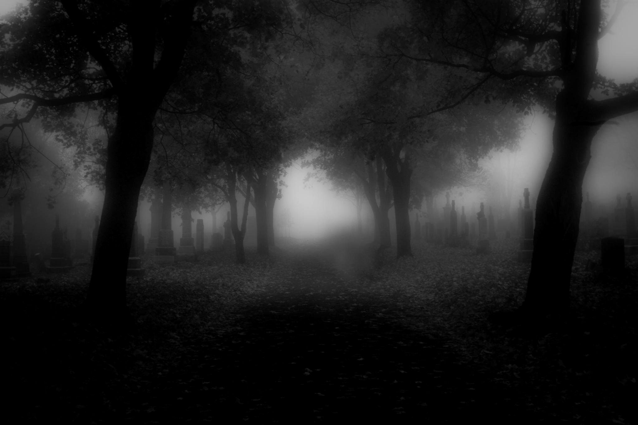 2048x1365 Dark Scary 4K Wallpaper Trick | Scary wallpaper, Scary backgrounds, Creepy backgrounds