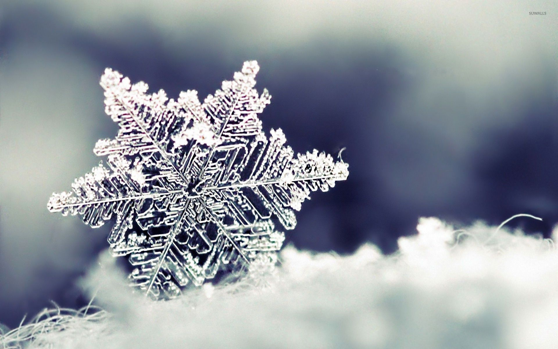 1920x1200 Snowflake Wallpapers Top Free Snowflake Backgrounds