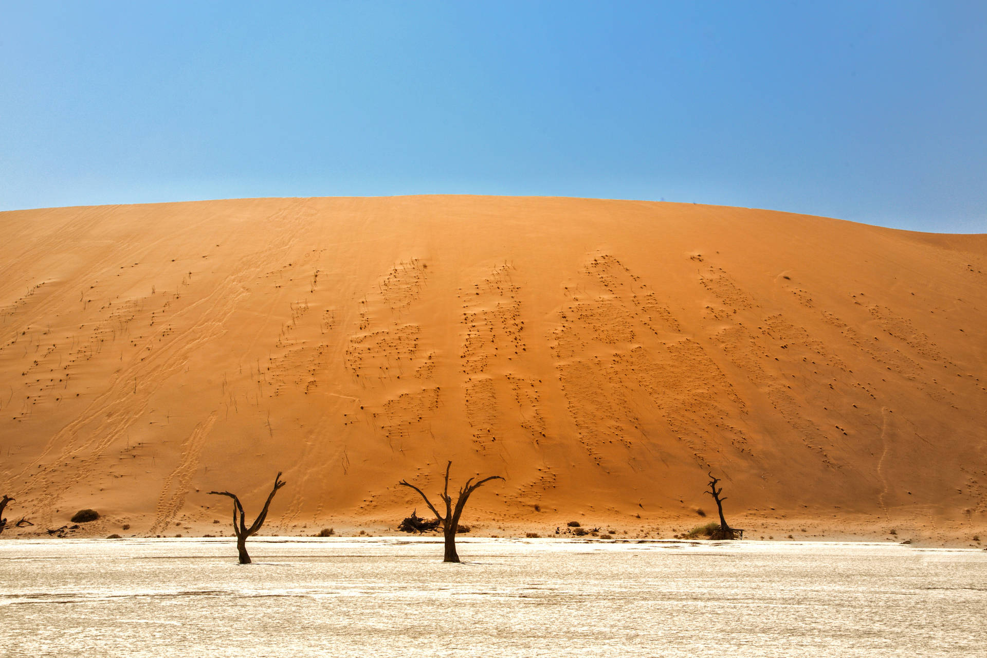 1920x1280 Download Namibia Grassy Sand Dunes Wallpaper
