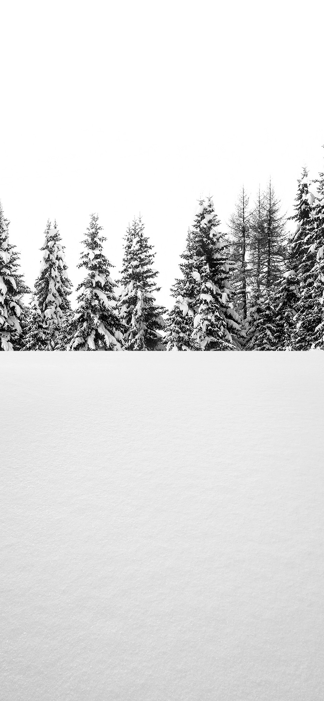 1125x2436 | iPhone11 wallpaper | oa63-snow-tree-winter-white-nature