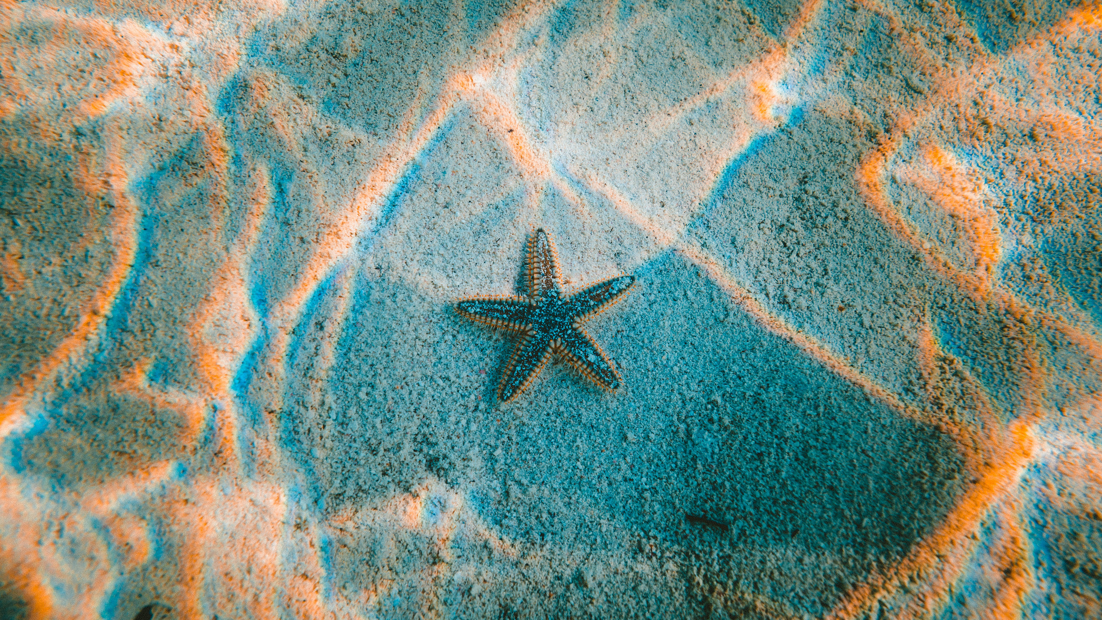 3840x2160 wallpaper for desktop, laptop | nu23-starfish-sea-beach-nature
