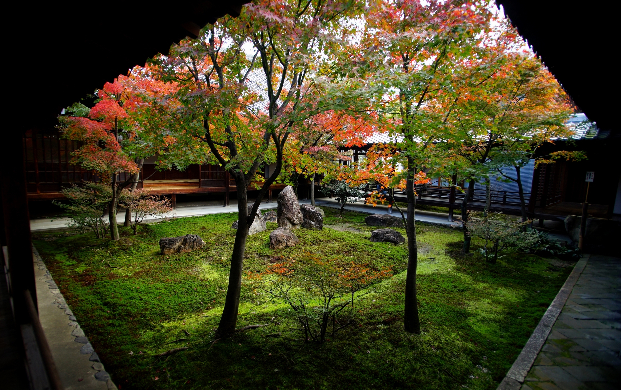 2019x1269 Wallpaper : nature, Japan, temple, Kyoto, autumncolors, zen, kenninjitemple, 20141127dsc09654, kyotokenninji 947442 HD Wallpapers