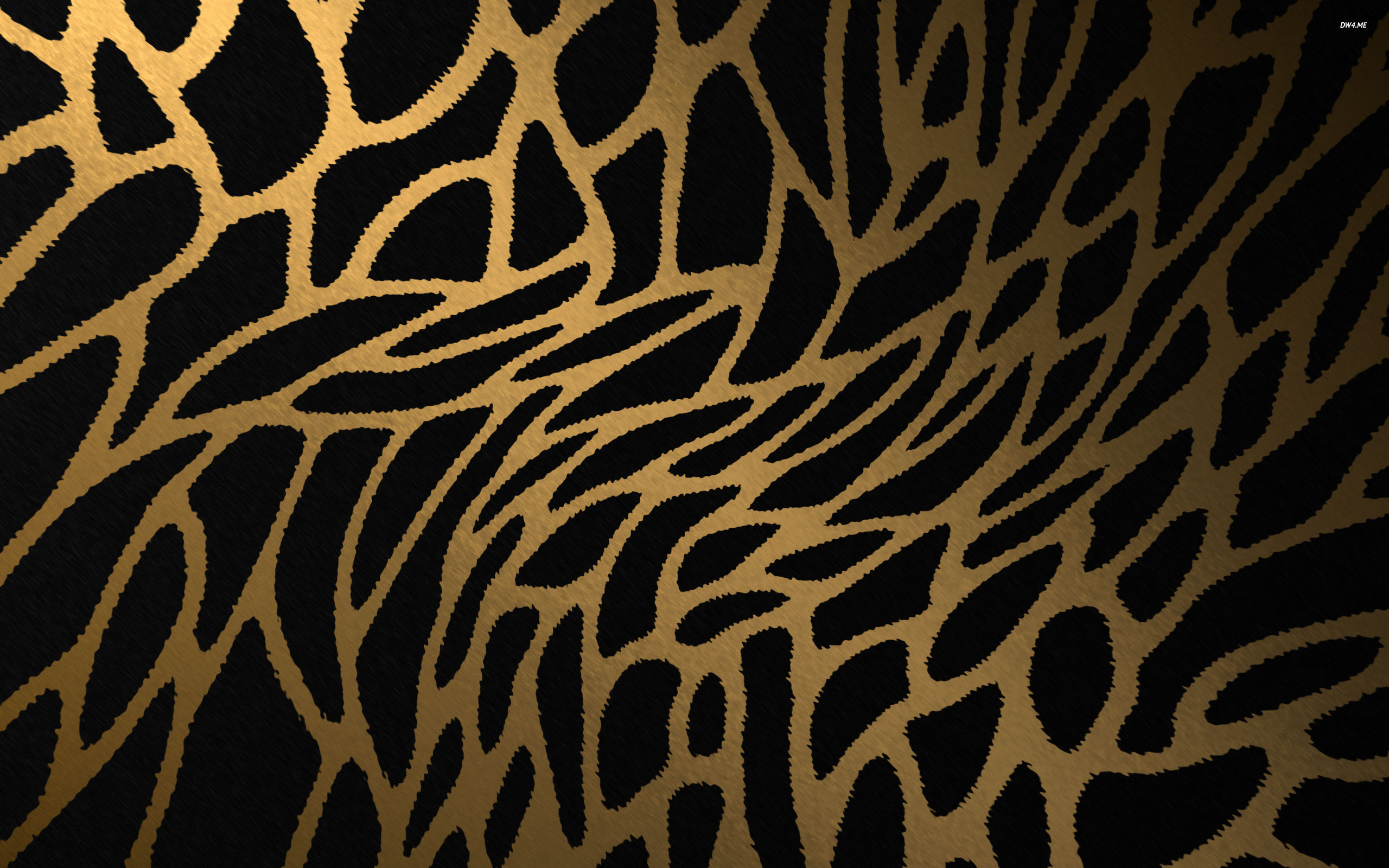 2560x1600 Free download Leopard print wallpaper Digital Art wallpapers 421 [] for your Desktop, Mobile \u0026 Tablet | Explore 76+ Pictures Of Cheetah Print Wallpaper | Pictures Of Cheetah Print Wallpaper, Cheetah Print