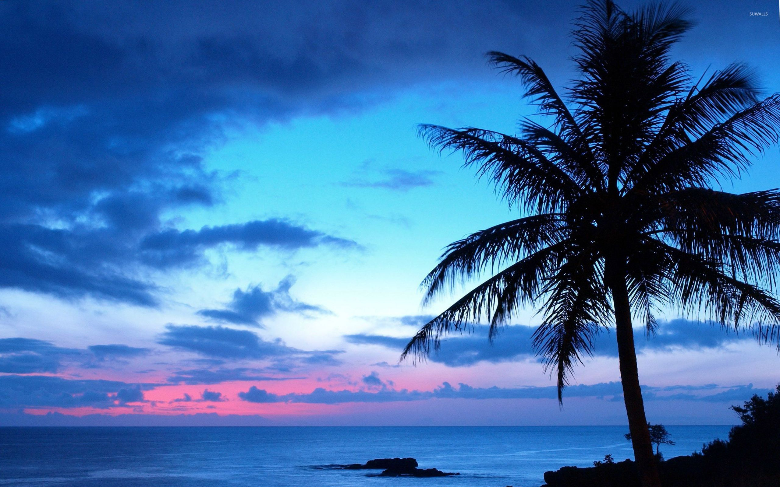 2560x1600 Blue Sunset Beach Wallpapers Top Free Blue Sunset Beach Backgrounds