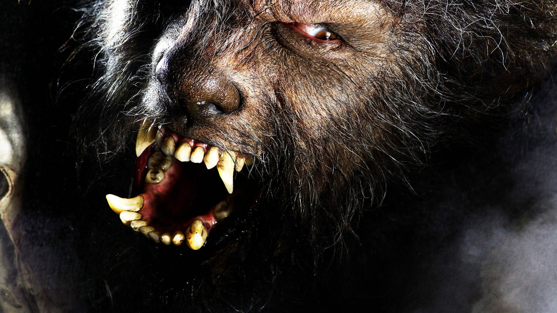 1920x1080 the, Wolfman, Dark, Werewolf Wallpapers HD / Desktop and Mobile Backgrounds
