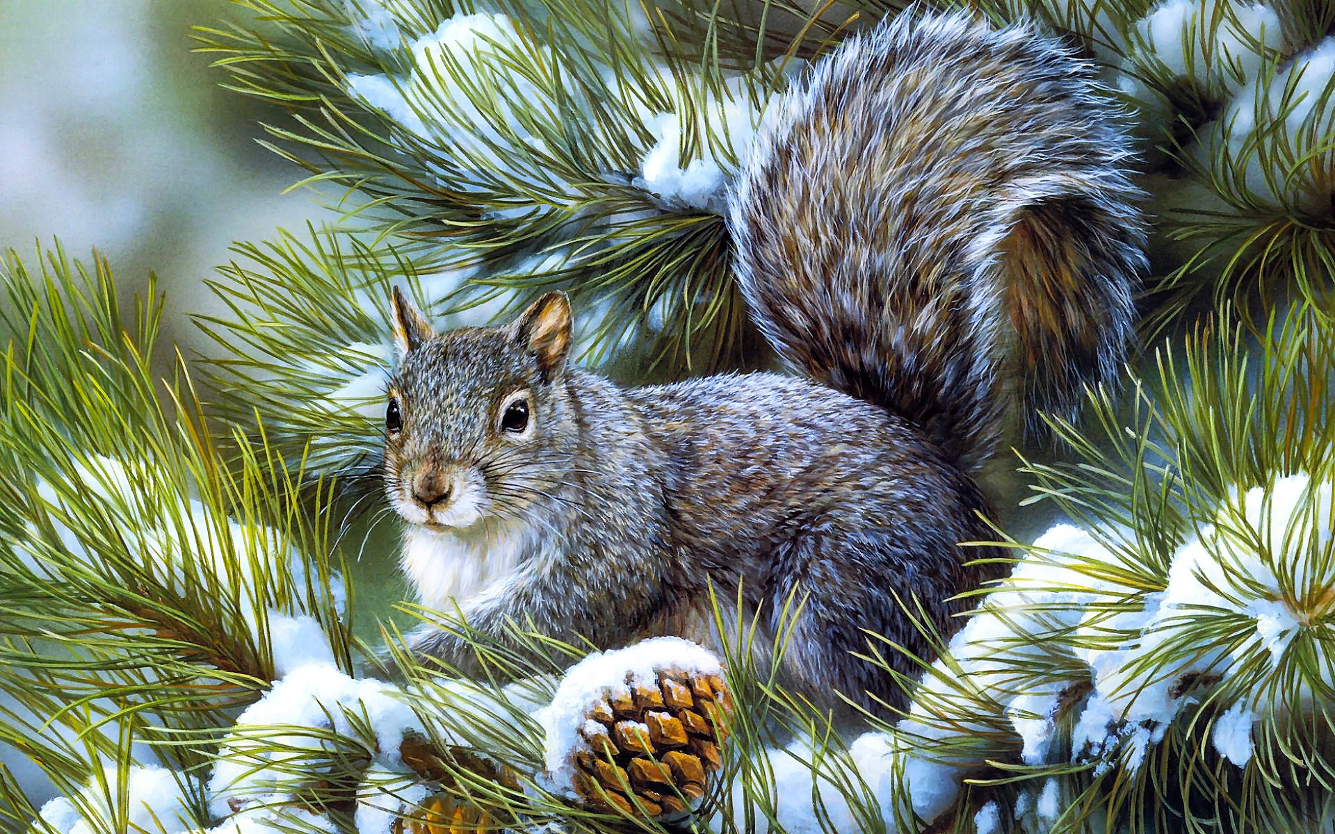 1920x1200 Free download Squirrels animals rodents art artistic nature wildlife winter snow [] for your Desktop, Mobile \u0026 Tablet | Explore 47+ Free Winter Animal Wallpaper | Free Winter Wallpapers, Winter Wildlife Wallpaper