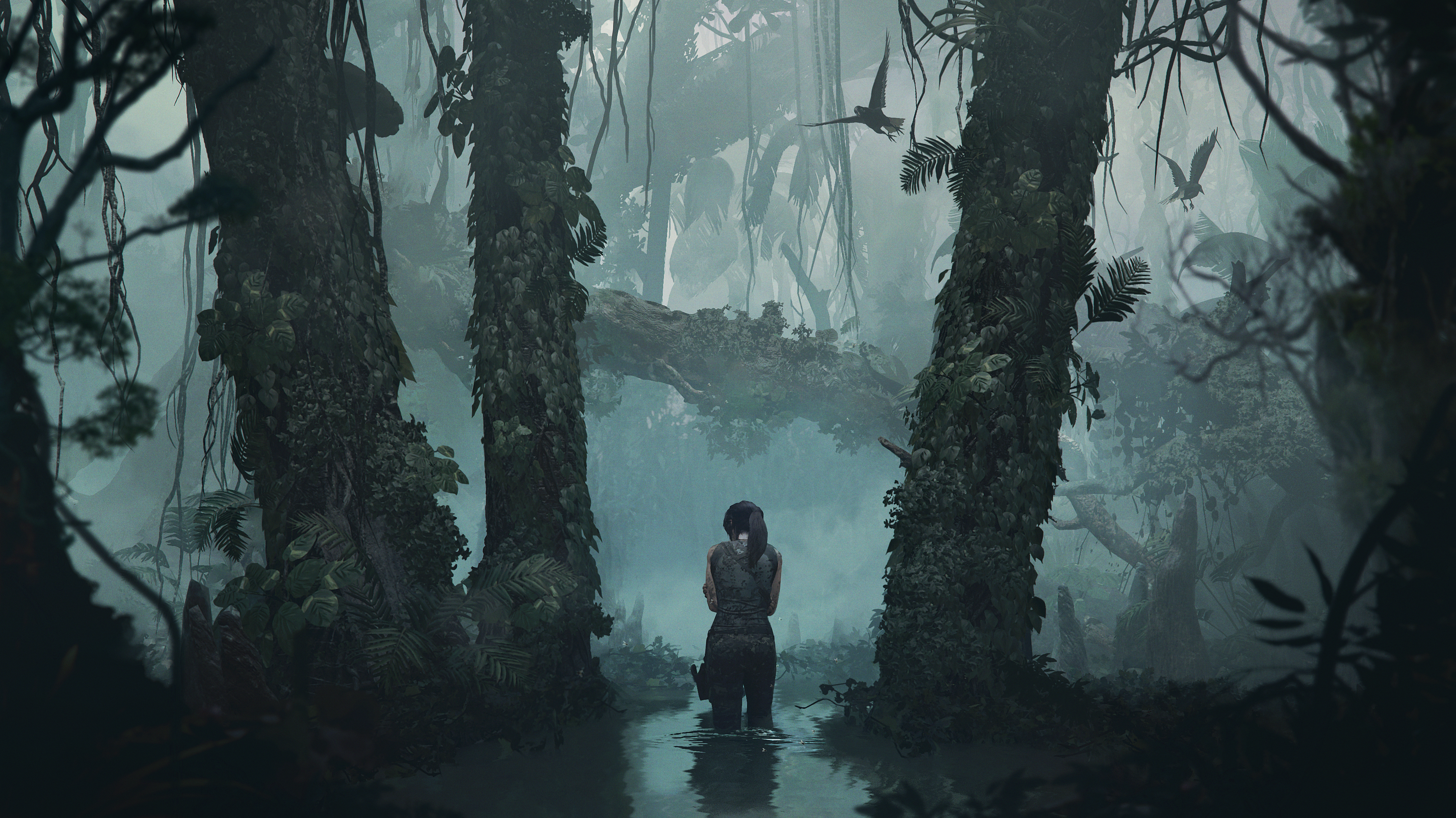 3840x2159 110+ Shadow of the Tomb Raider HD Wallpapers and Backgrounds