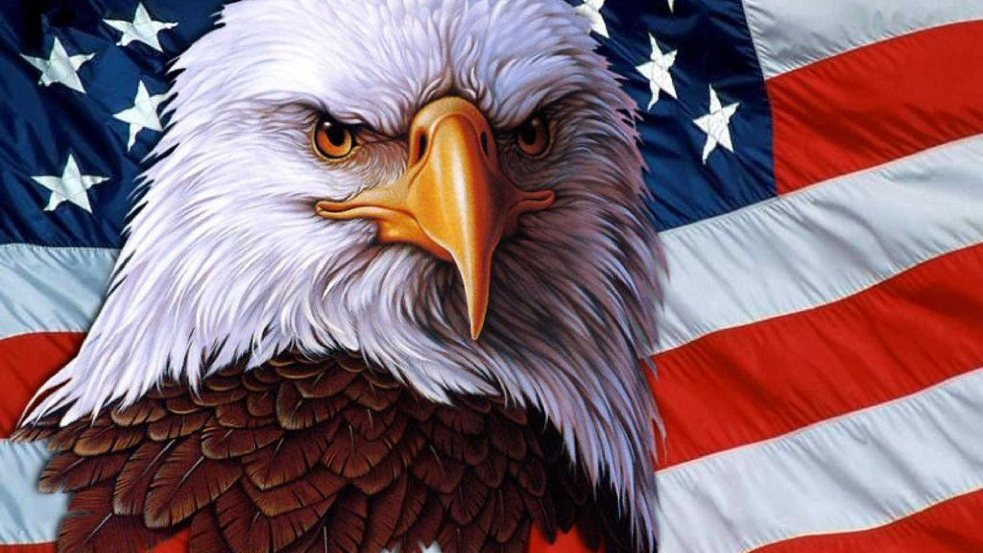 3840x2160 4K American Eagle Wallpaper Awesome Free HD Wallpapers