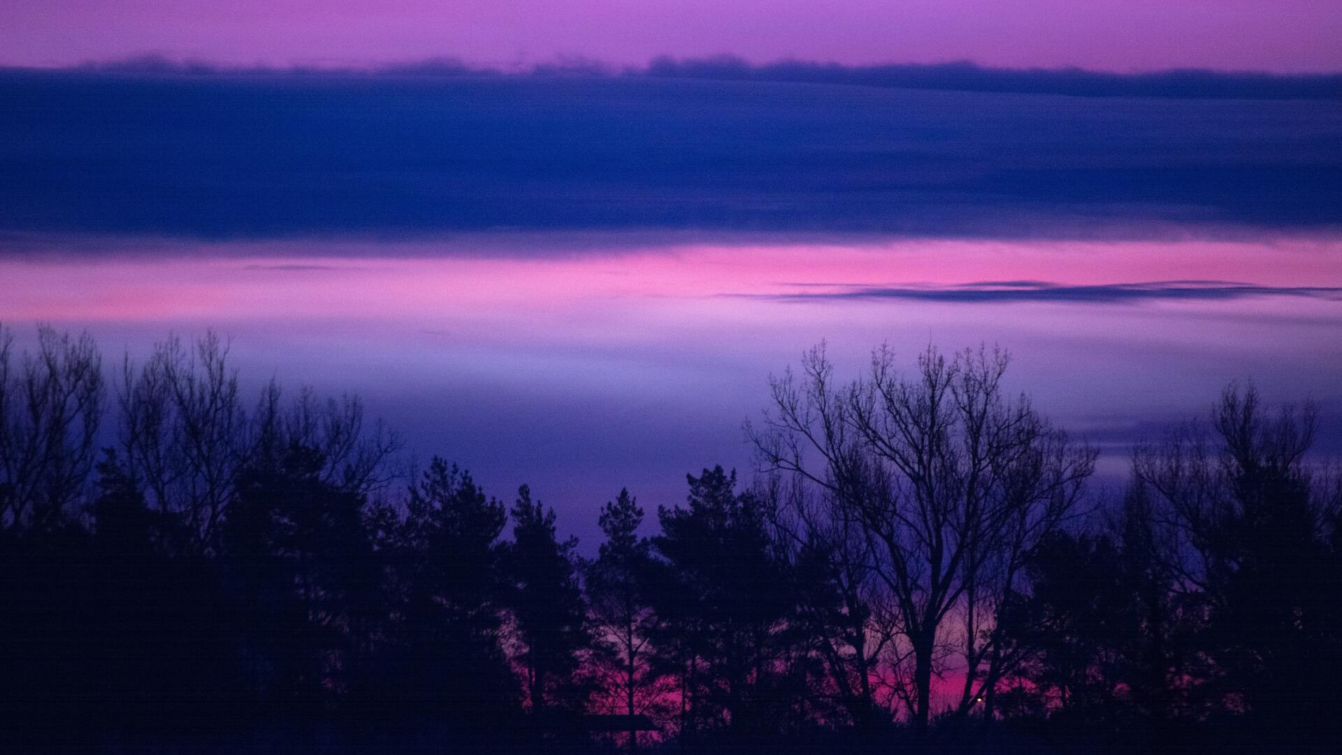 1920x1080 Clouds Forest Landscape Lilac Purple Serene Sunrise Sunset Trees 5k Laptop Full HD 1080P HD 4k Wallpapers, Images, Backgrounds, Photos and Pictures