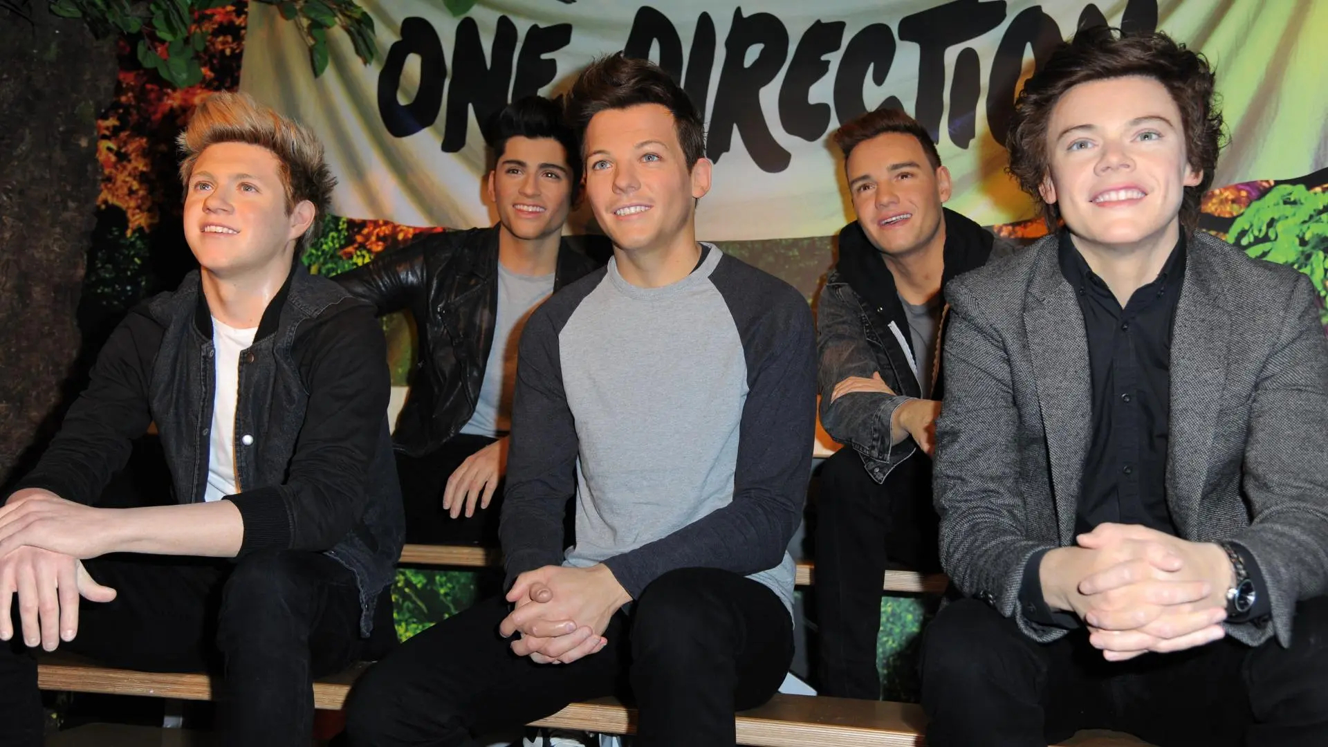 1920x1080 One Direction takes the #cutestselfieever, complete with kittens (VIDEO) &acirc;&#128;&#147; SheKnows