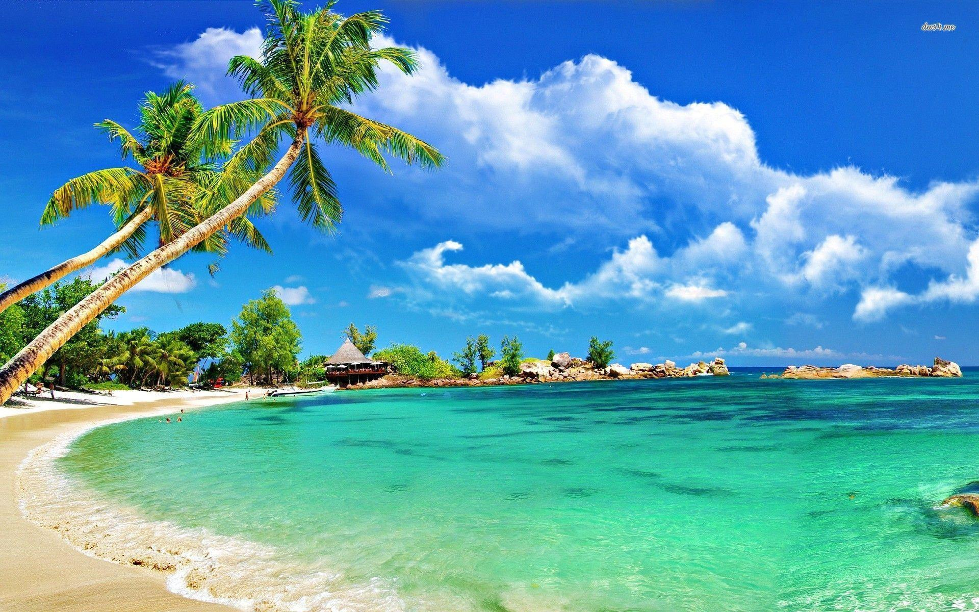 1920x1200 Tropical Beach Wallpapers Top Free Tropical Beach Backgrounds