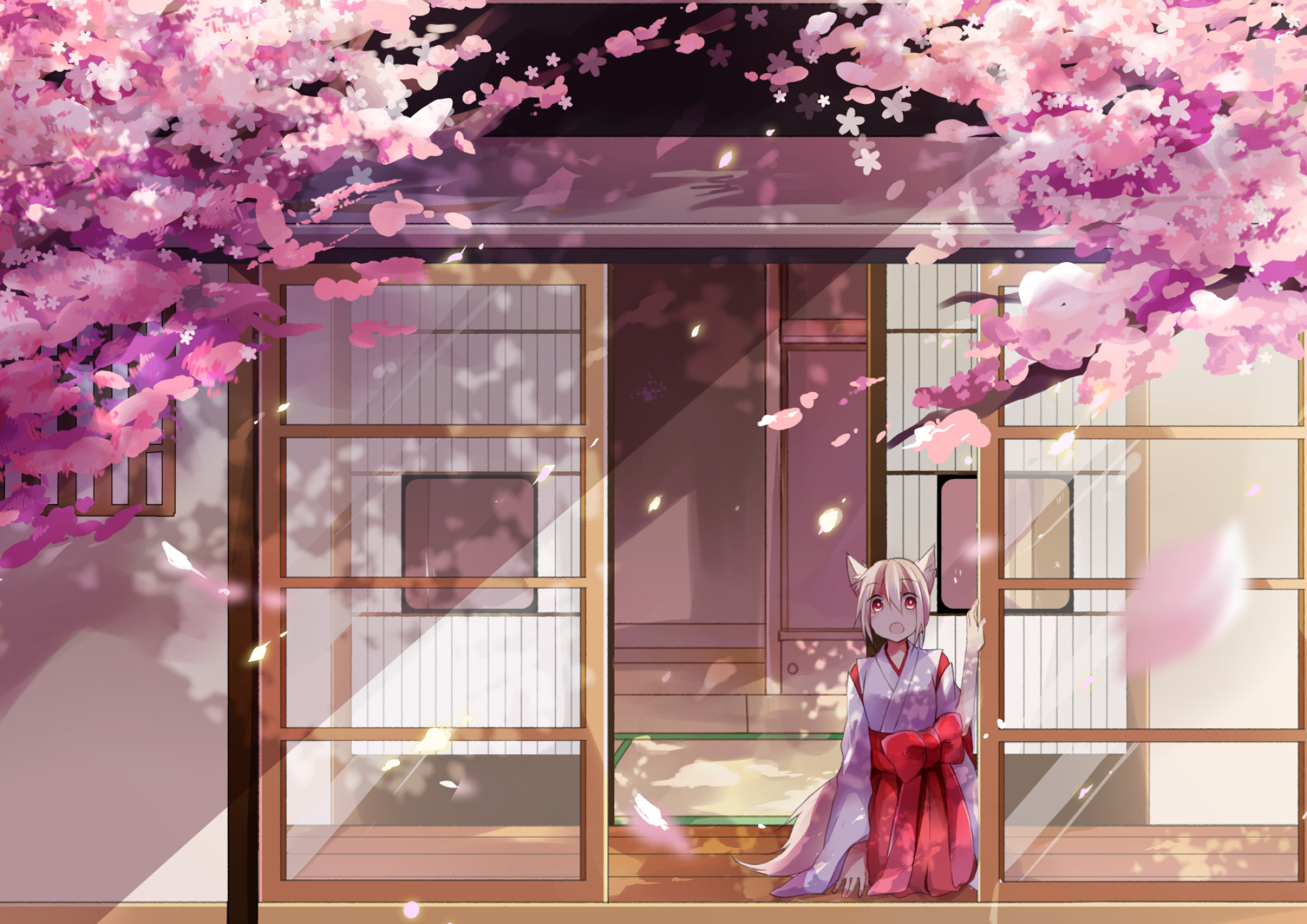 2000x1414 370+ Cherry Blossom HD Wallpapers and Backgrounds