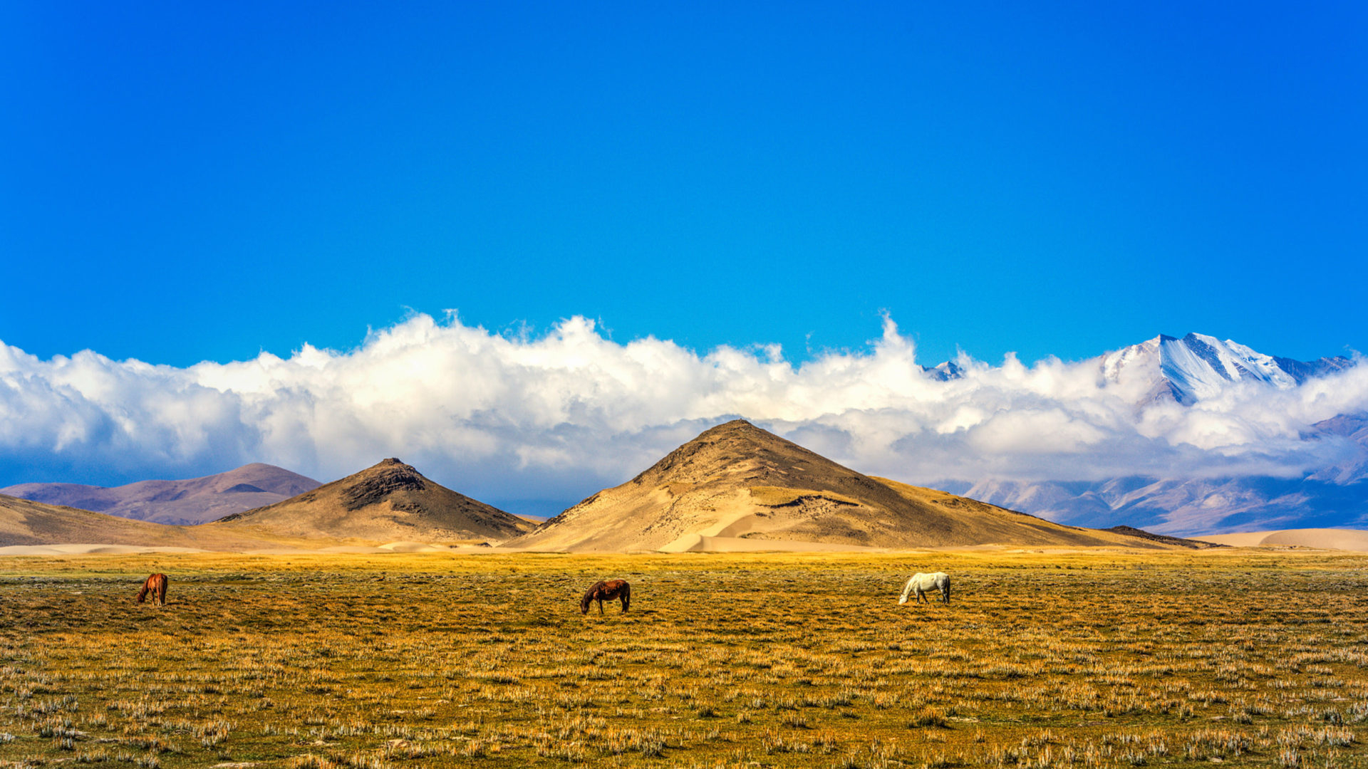 1920x1080 China Northern Tibet Pastures Field Hills Snow Blue Sky