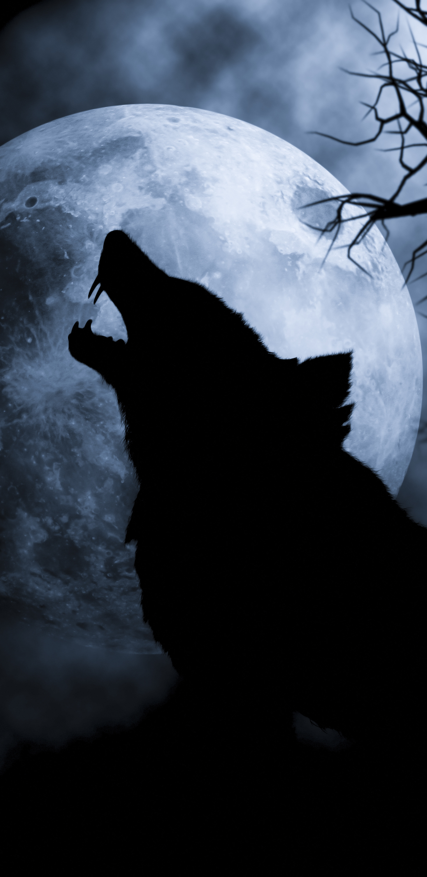 1440x2960 Wolf Howling At The Moon Mobile Abyss