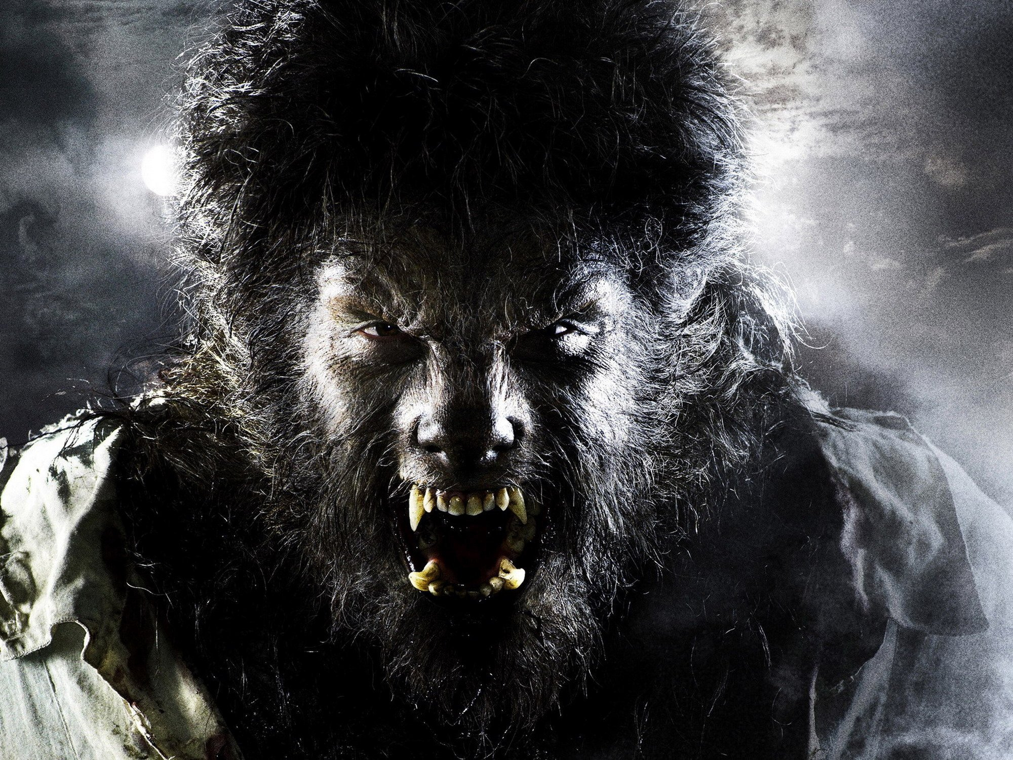2000x1500 the, Wolfman, Drama, Horror, Thriller, Werewolf, Dark Wallpapers HD / Desktop and Mobile Backgrounds
