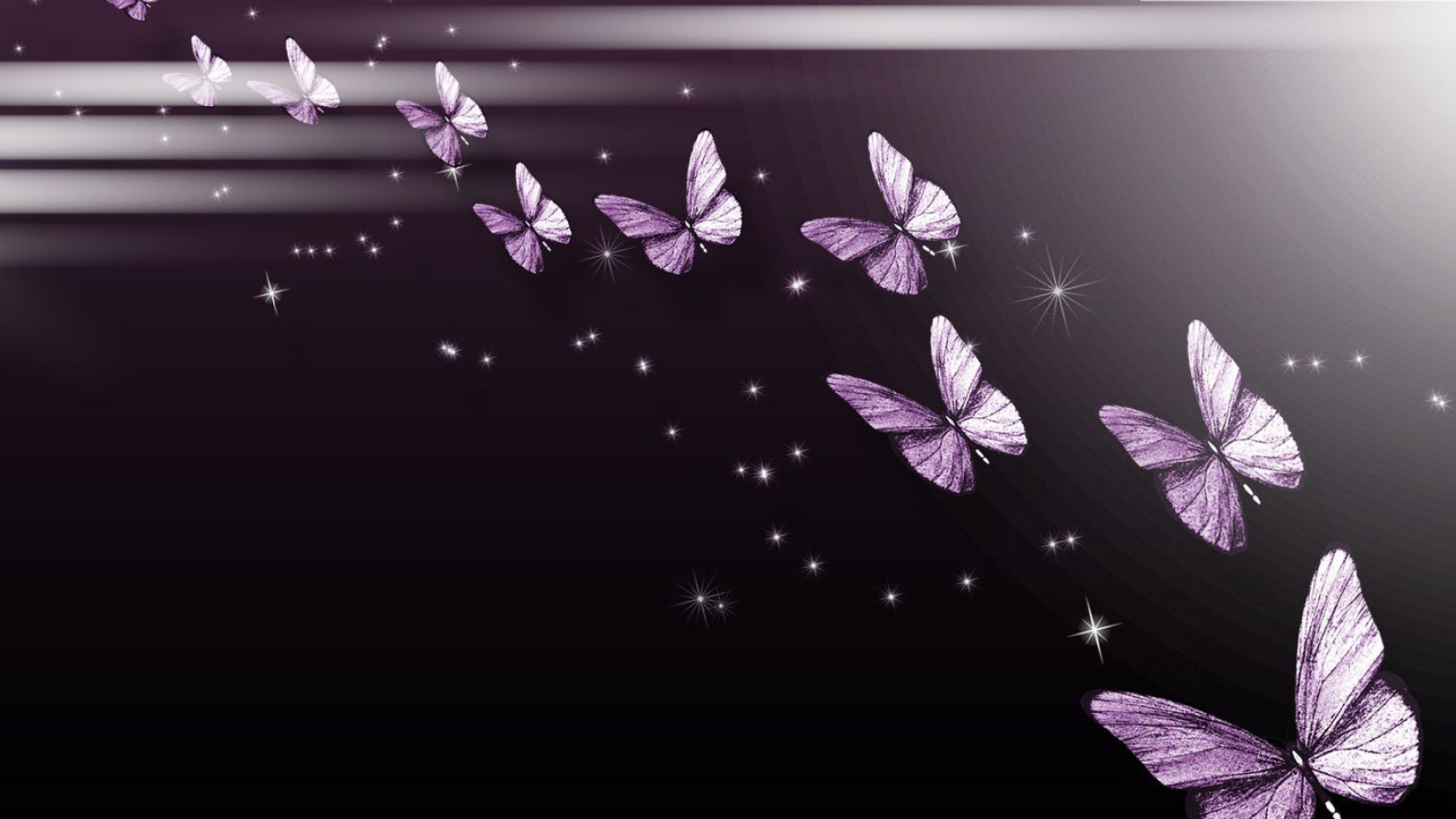 1920x1080 Purple Butterfly Wallpapers Hd ~ Monodomo | Butterfly wallpaper, Purple butterfly wallpaper, Wallpaper