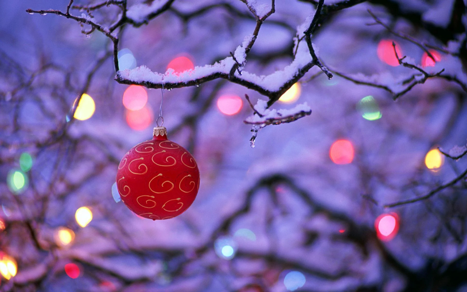 1920x1200 Christmas Winter Wallpapers Top Free Christmas Winter Backgrounds