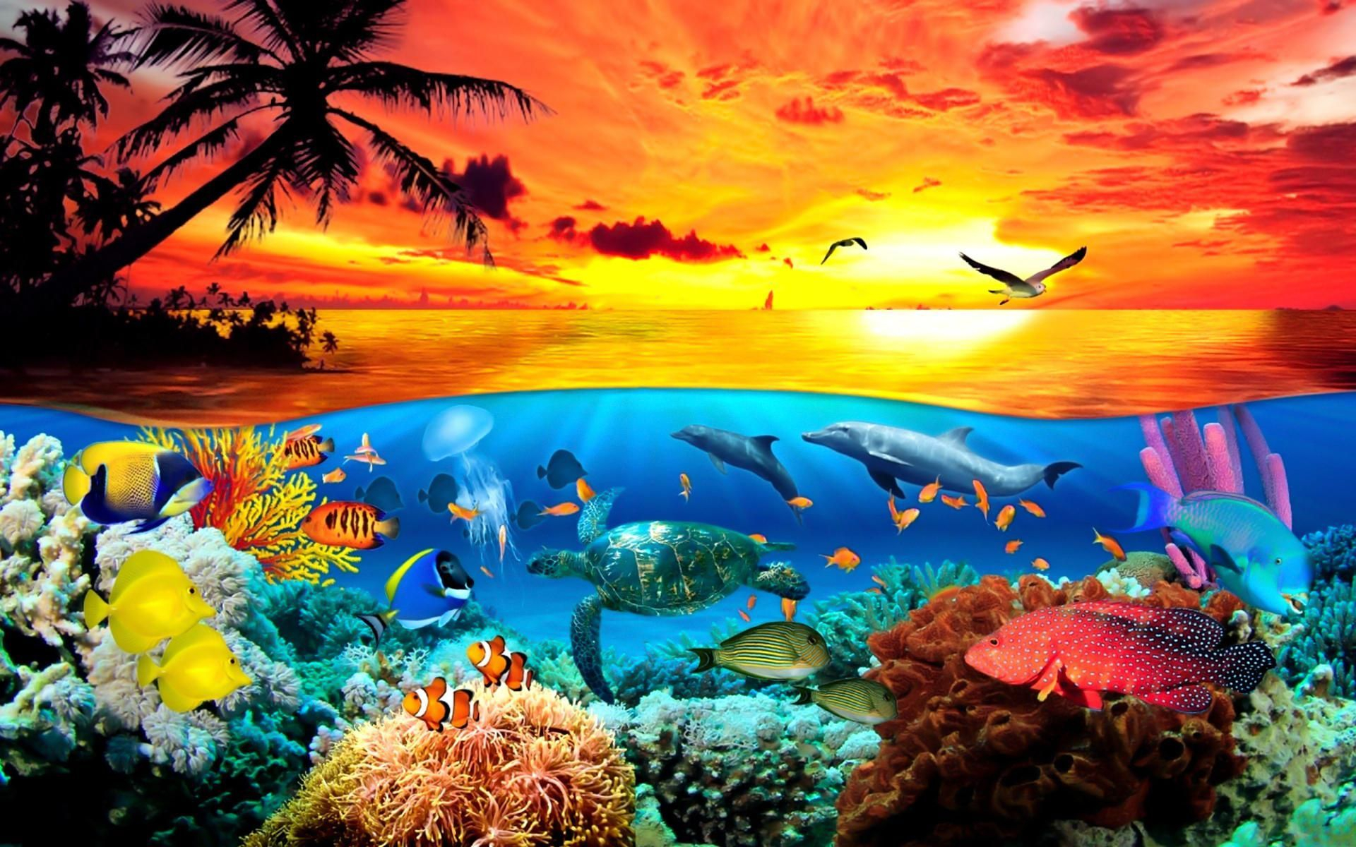 1920x1200 Cute Sea Animals Wallpapers