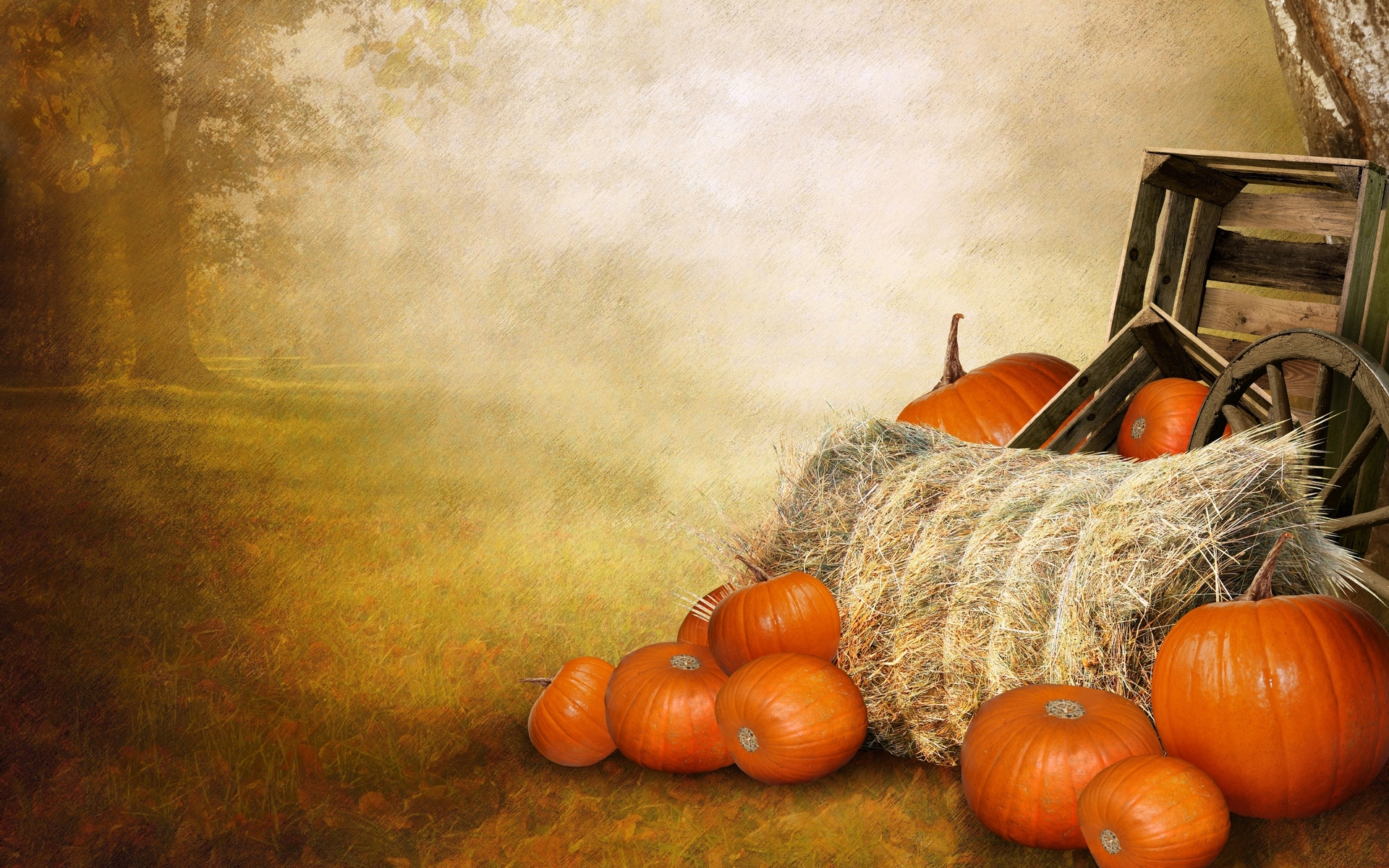 1920x1200 60+ Pumpkin HD Wallpapers and Backgrounds