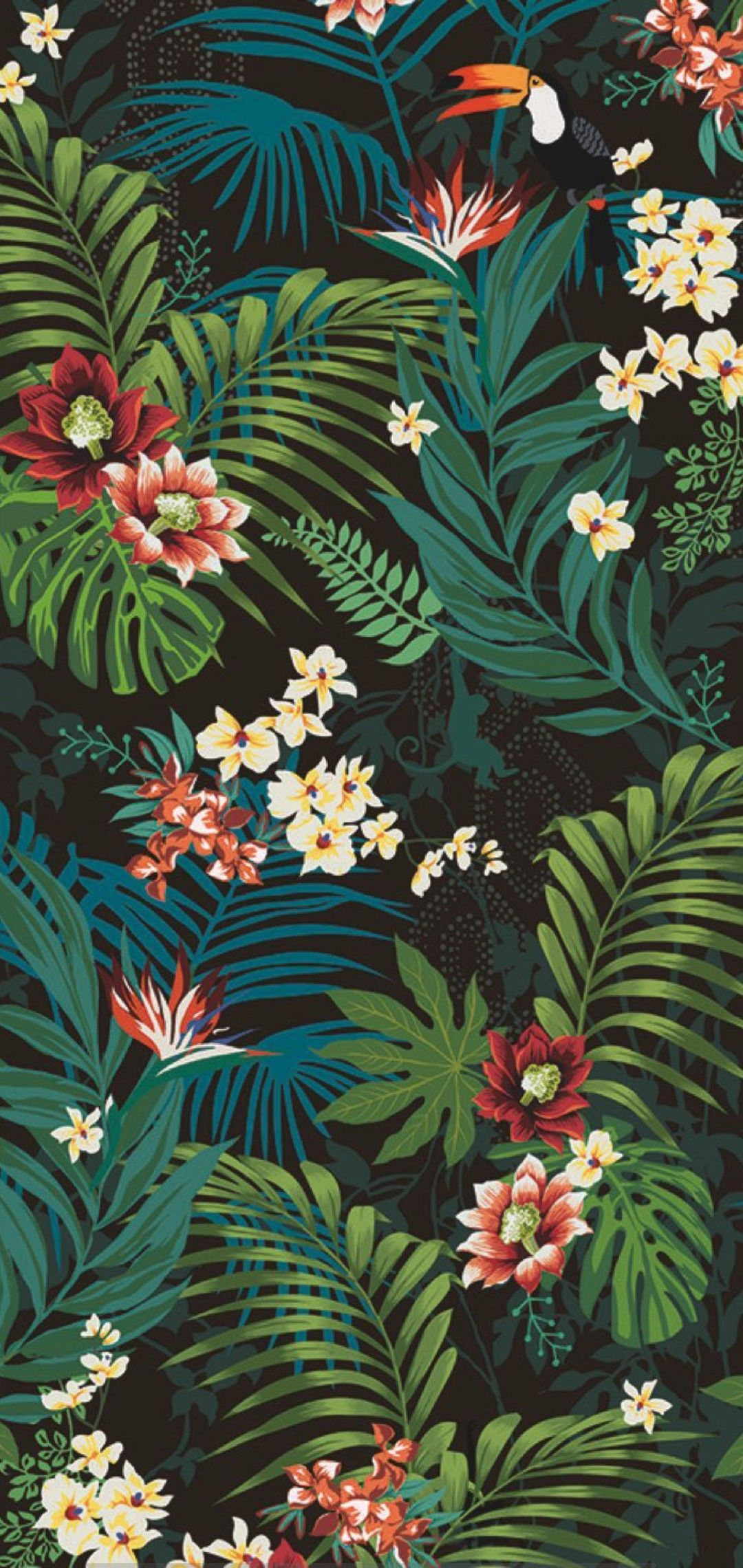 1080x2280 Pin by Vincent Lim on Wallpapers | Tropical wallpaper, Jungle pattern, Flower wallpaper