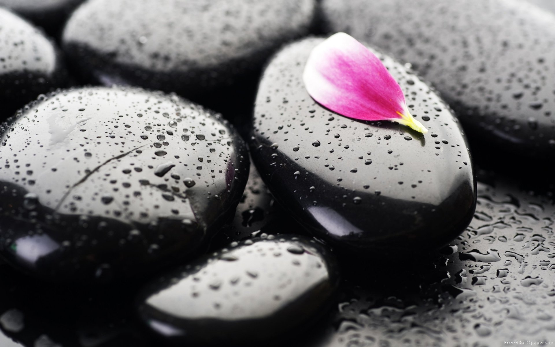 1920x1200 40+ Pebbles HD Wallpapers and Backgrounds
