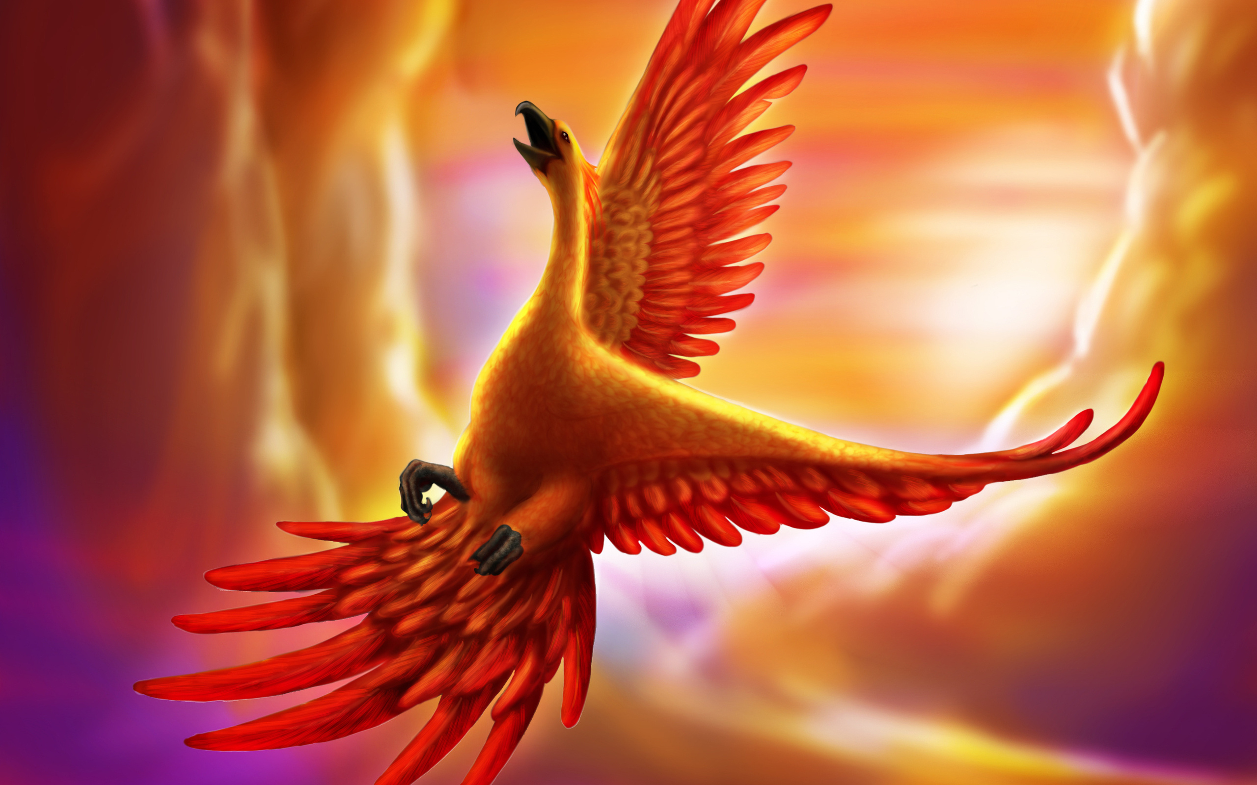 2560x1600 creature, Art, Bird, Phoenix Wallpapers HD / Desktop and Mobile Backgrounds