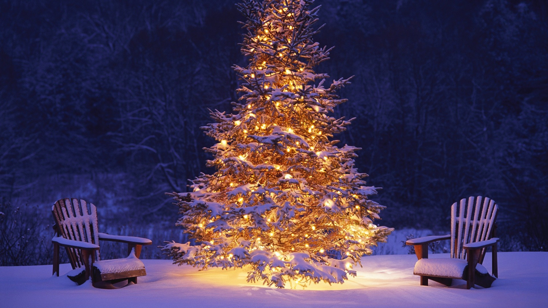 1920x1080 yule christmas tree lights