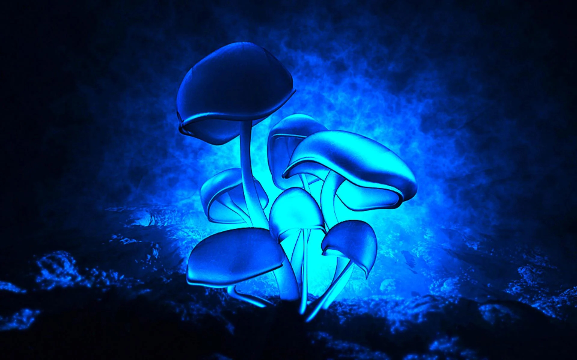 1920x1200 Blue Mushroom Wallpapers Top Free Blue Mushroom Backgrounds