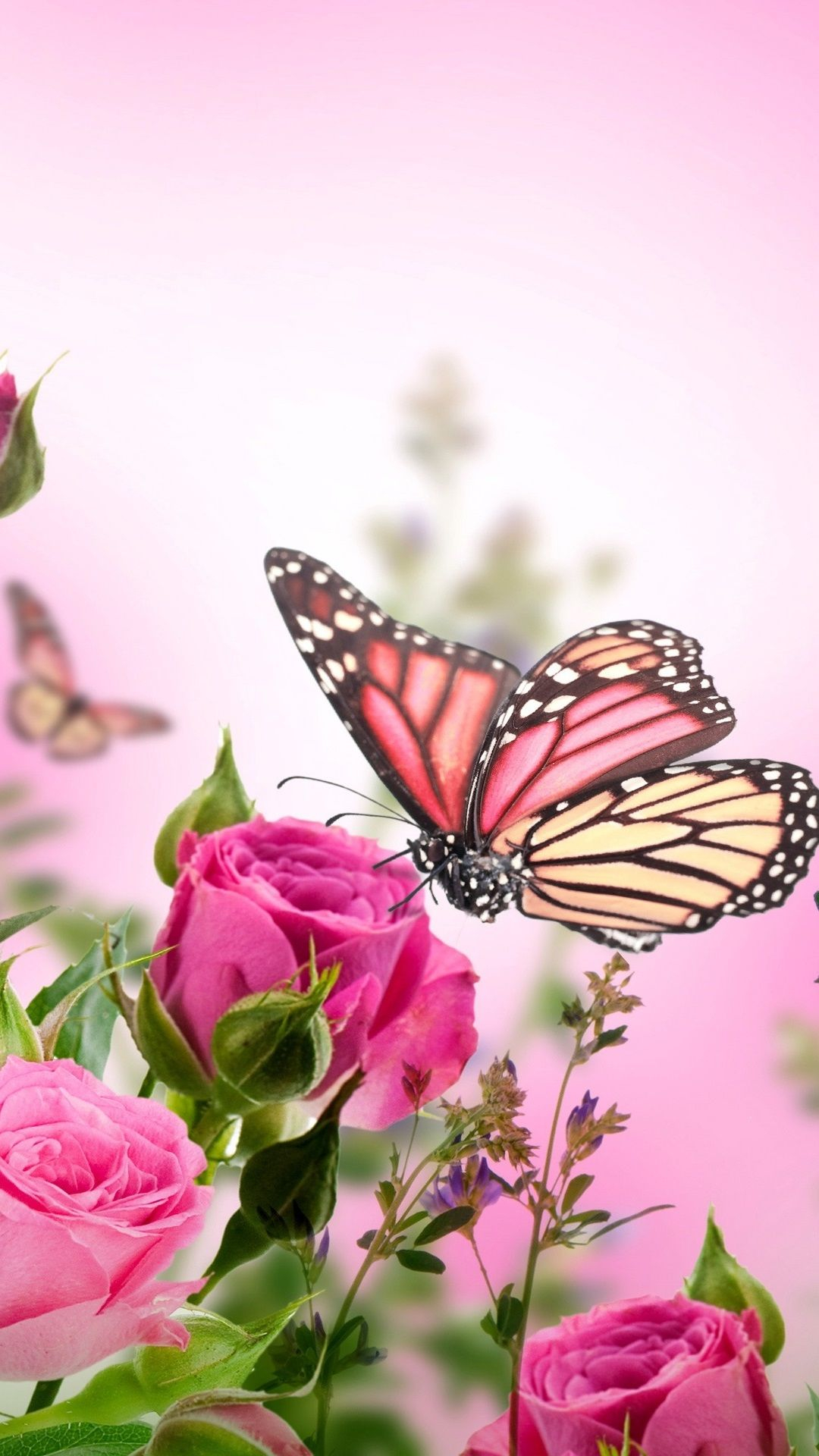 1080x1920 Pink-roses-flowers-butterflies_iphone | Flowery wallpaper, Butterfly wallpaper, Pink wallpaper iphone